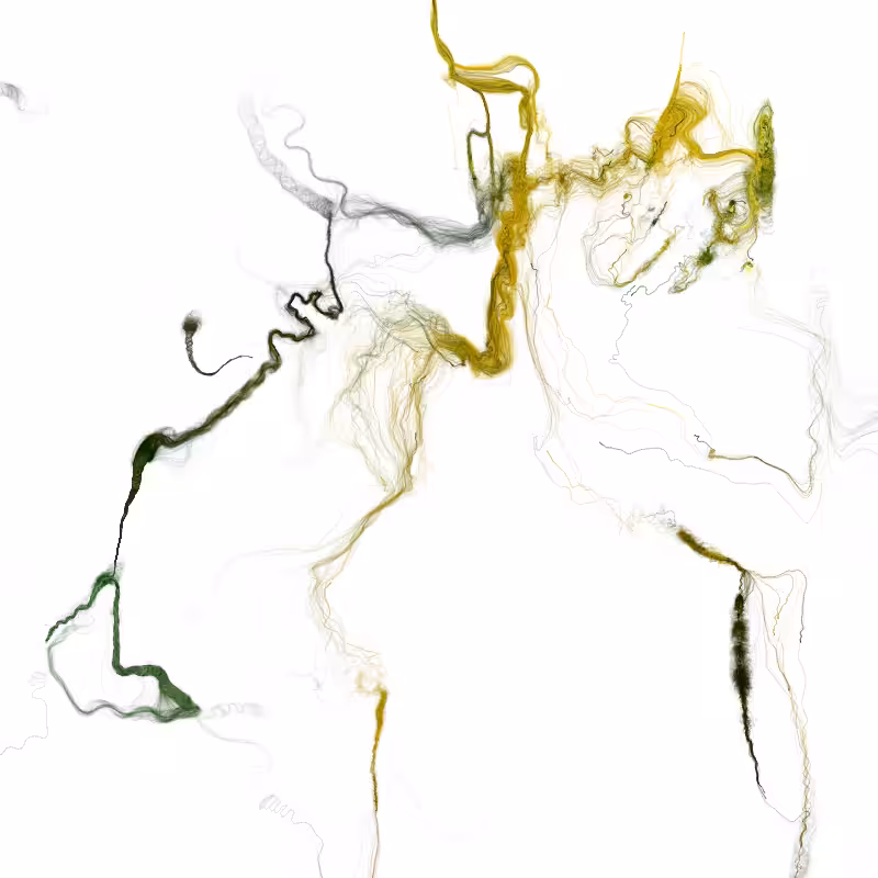 Hypericum #111