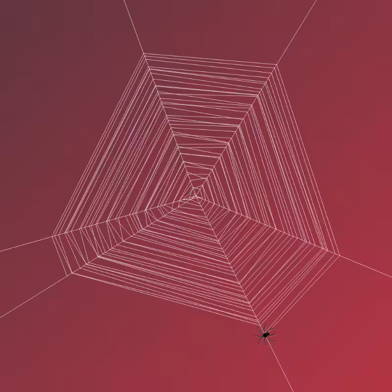 Weaving Spiders #6