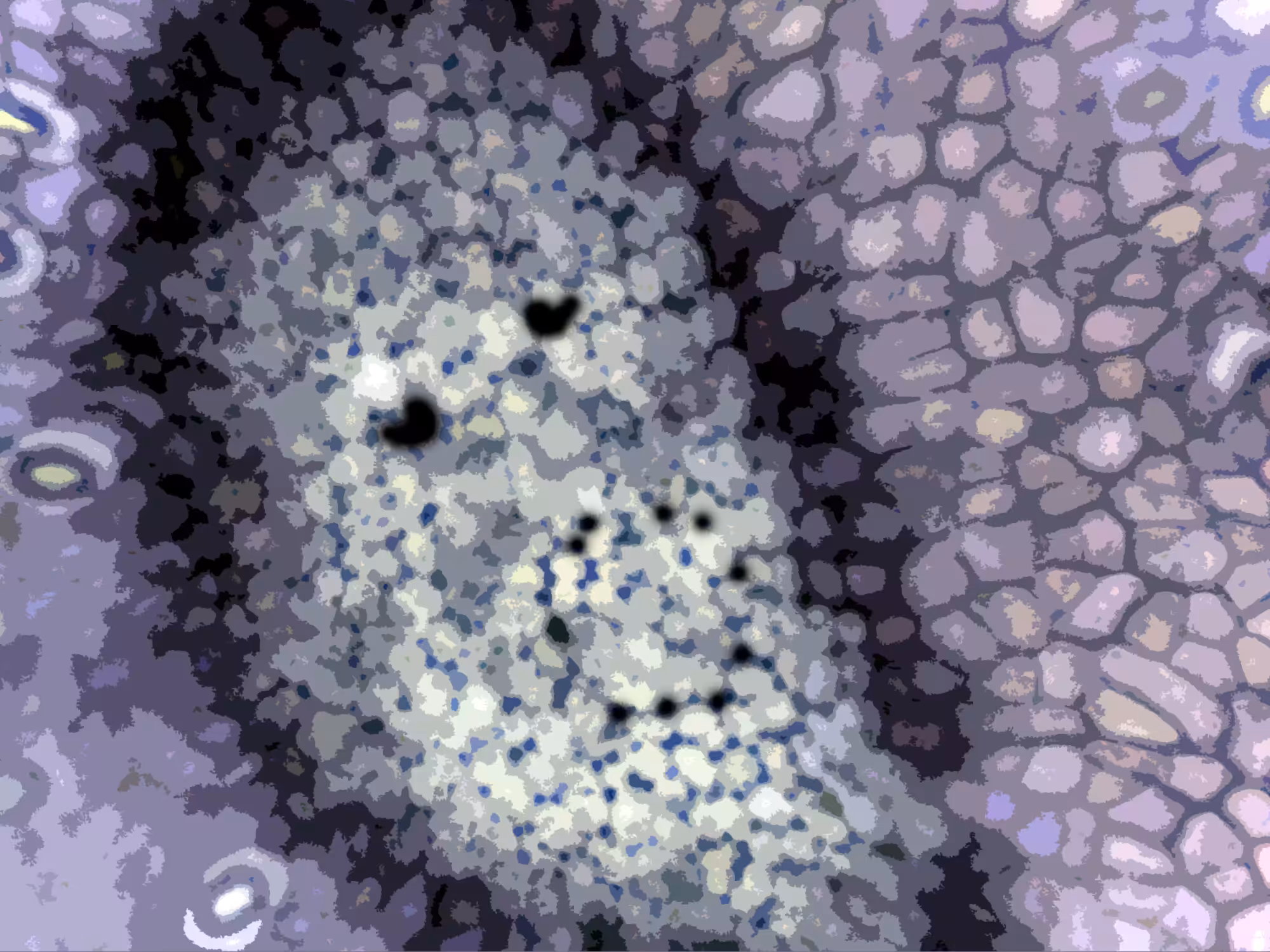The Face of the Microcosm #02