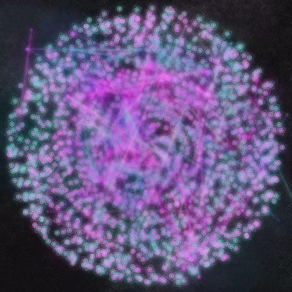 espiral #50
