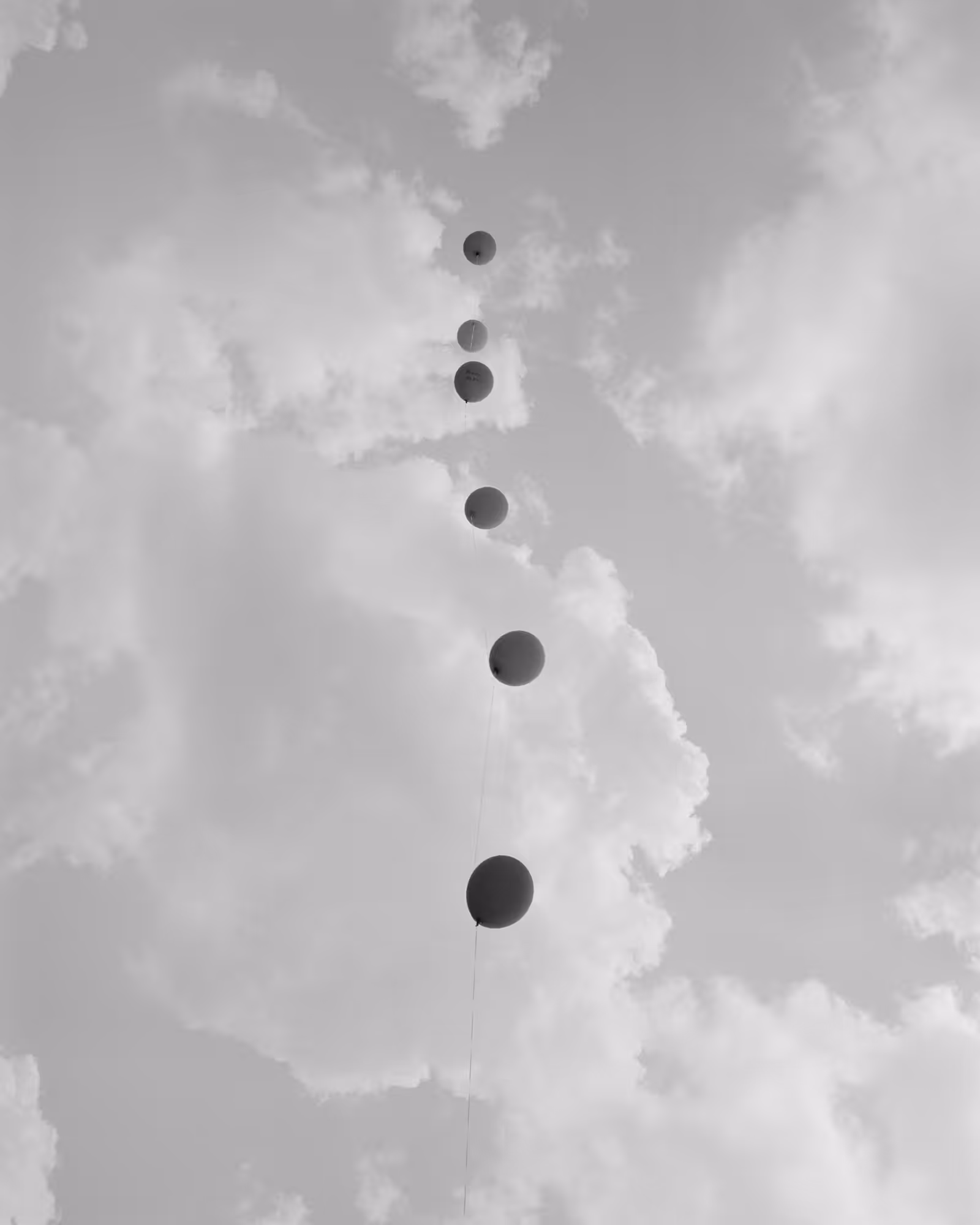 One Sun, One Shadow #25