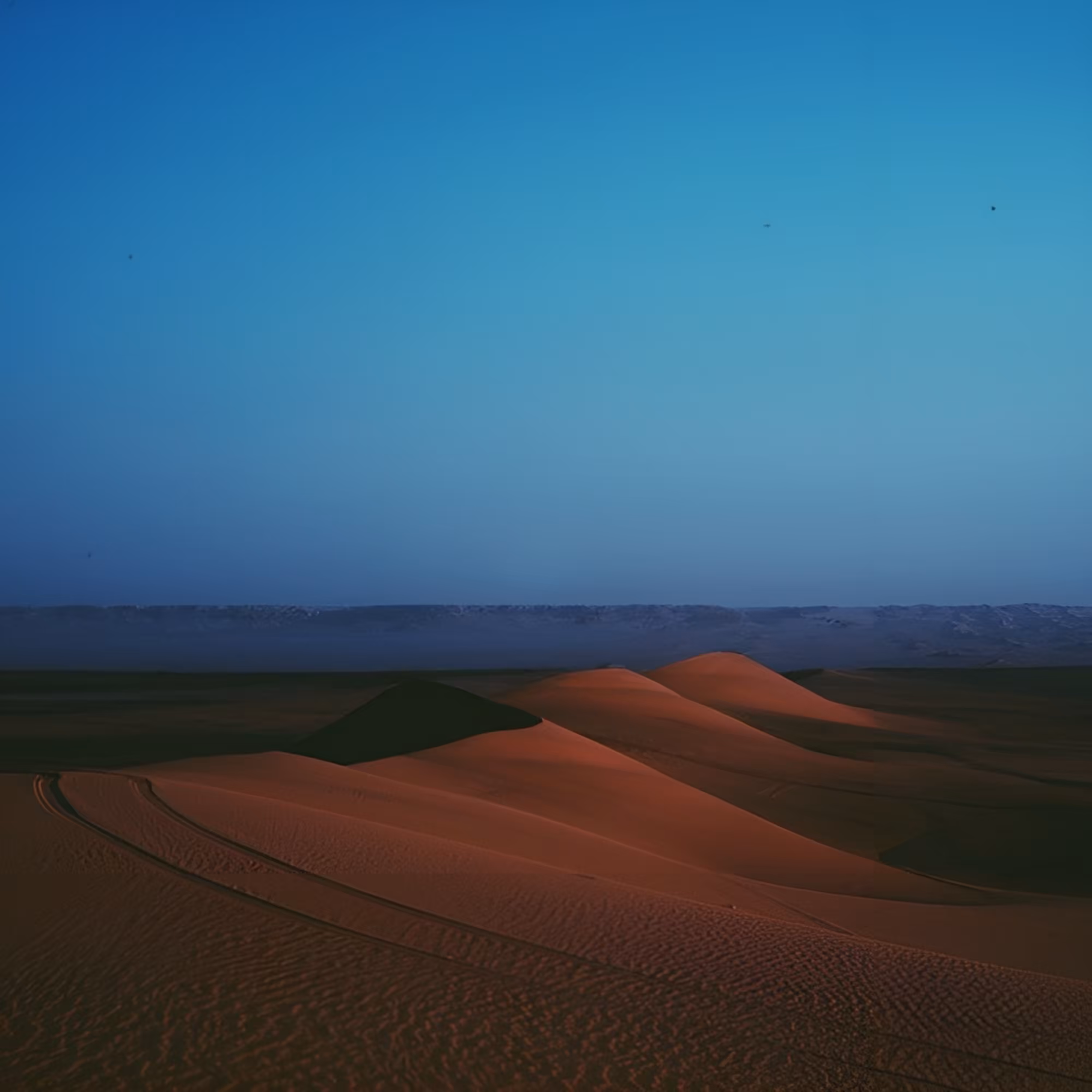 Dune chase