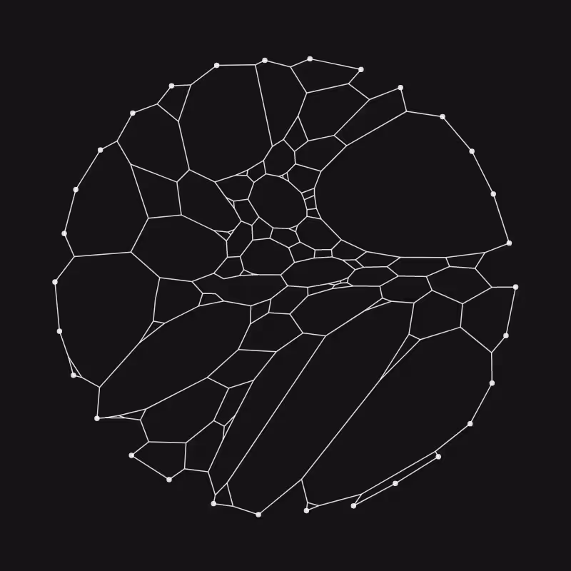 Elastic Web #39