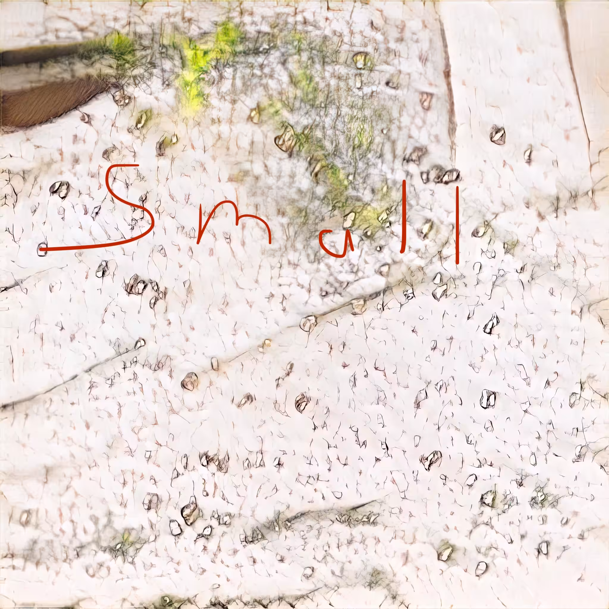 Word Flush 00355
