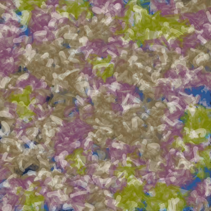 Petri 1500 v2 QHD  #1476