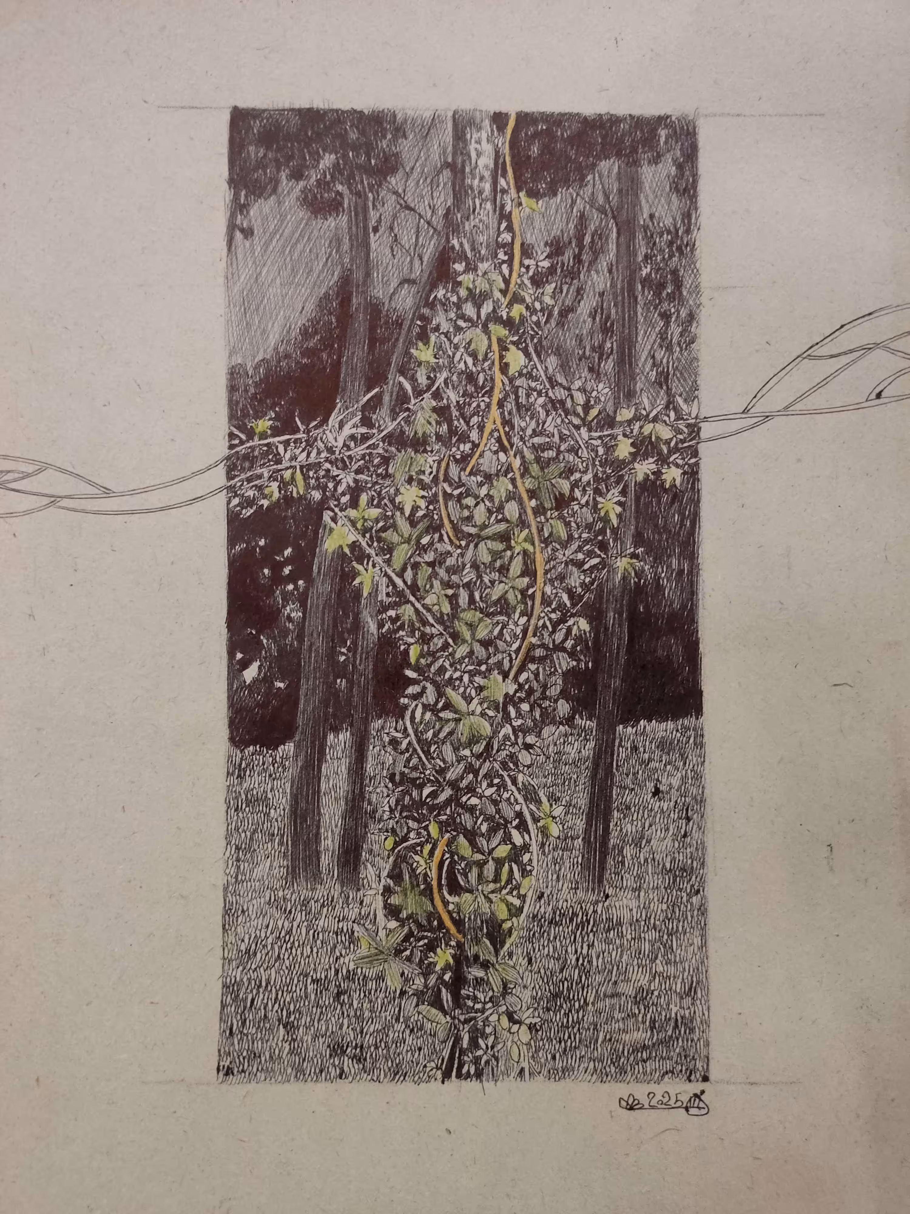 They crucified the tree
