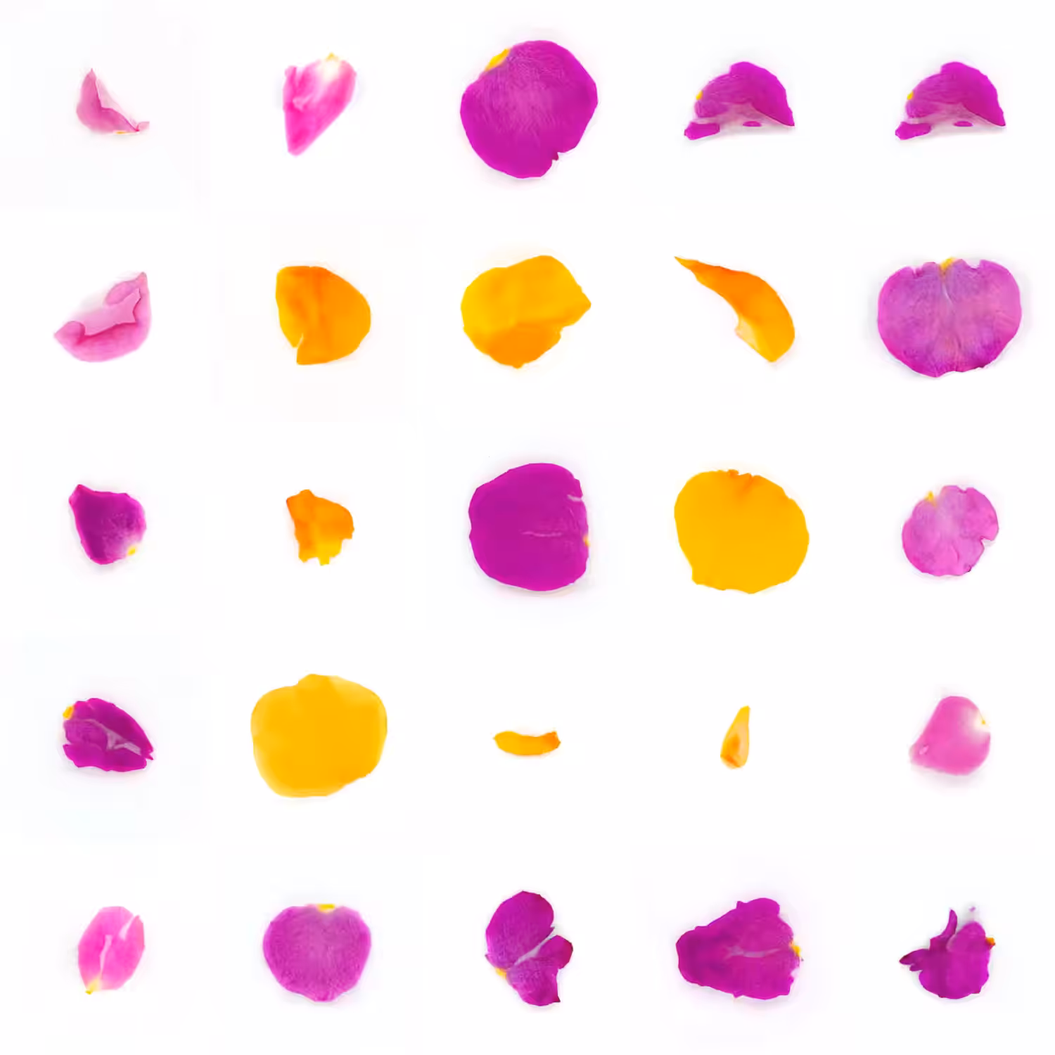 Infinite Petals 5x5#21110