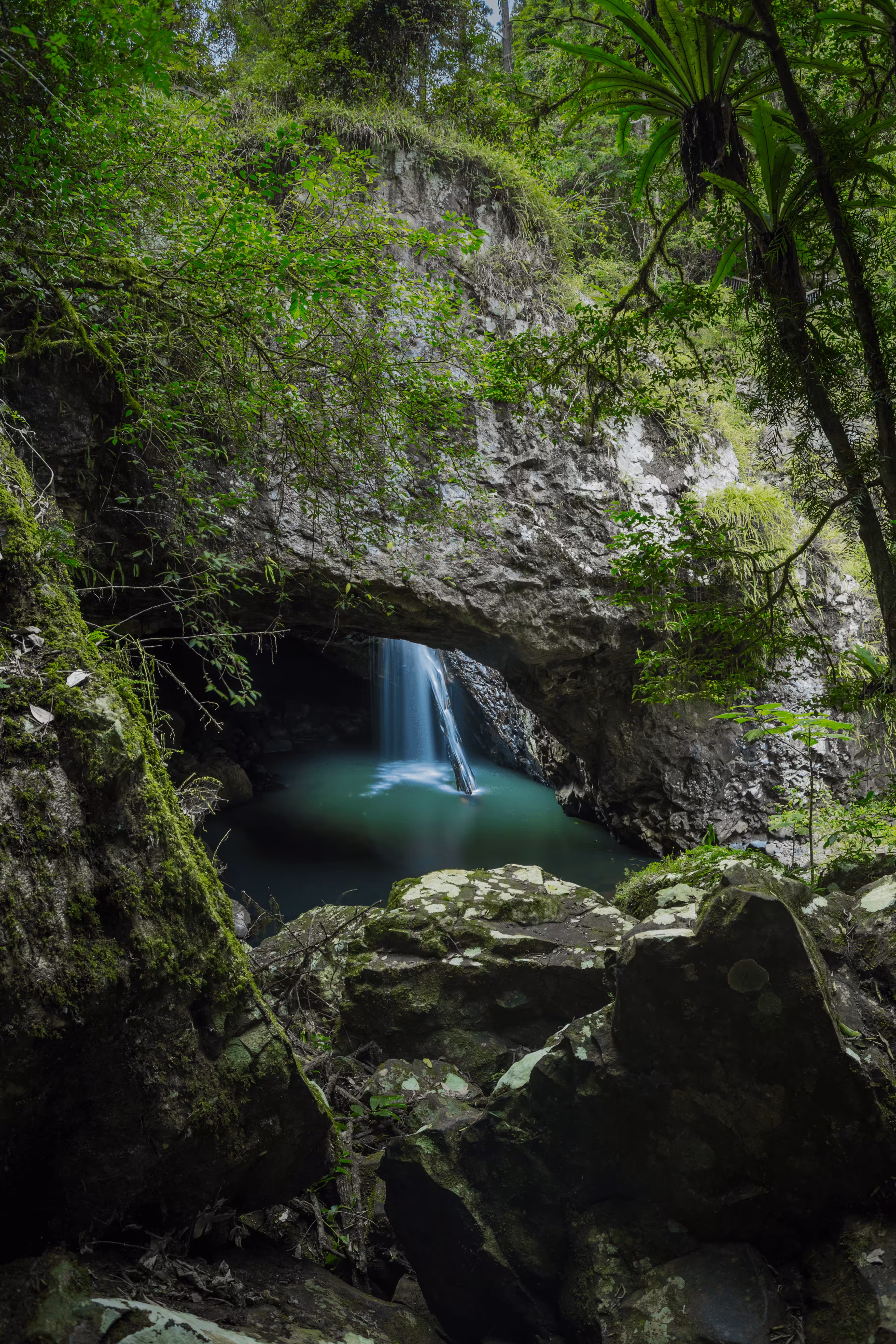 #44 - Natural Bridge Portal