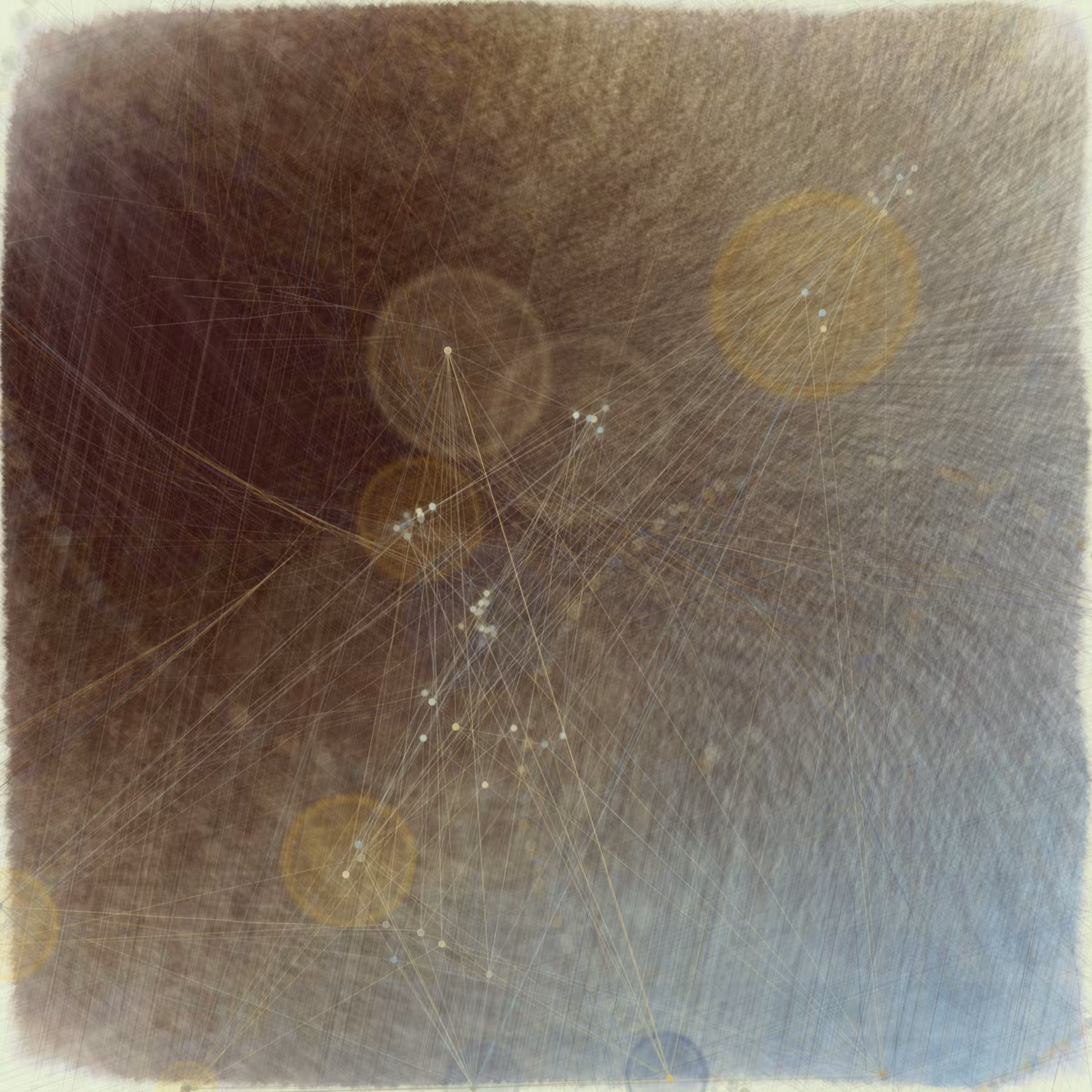 Reticulum