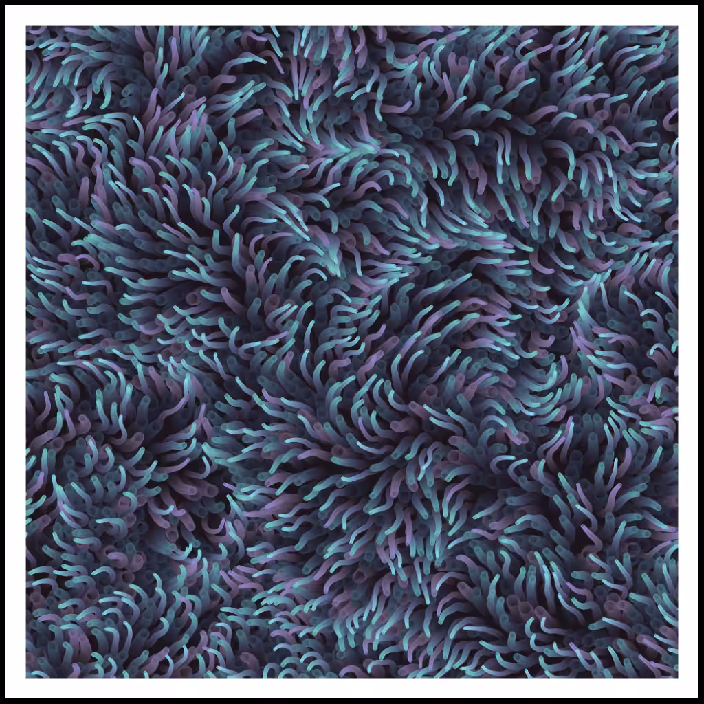 Studies of Motion  #40