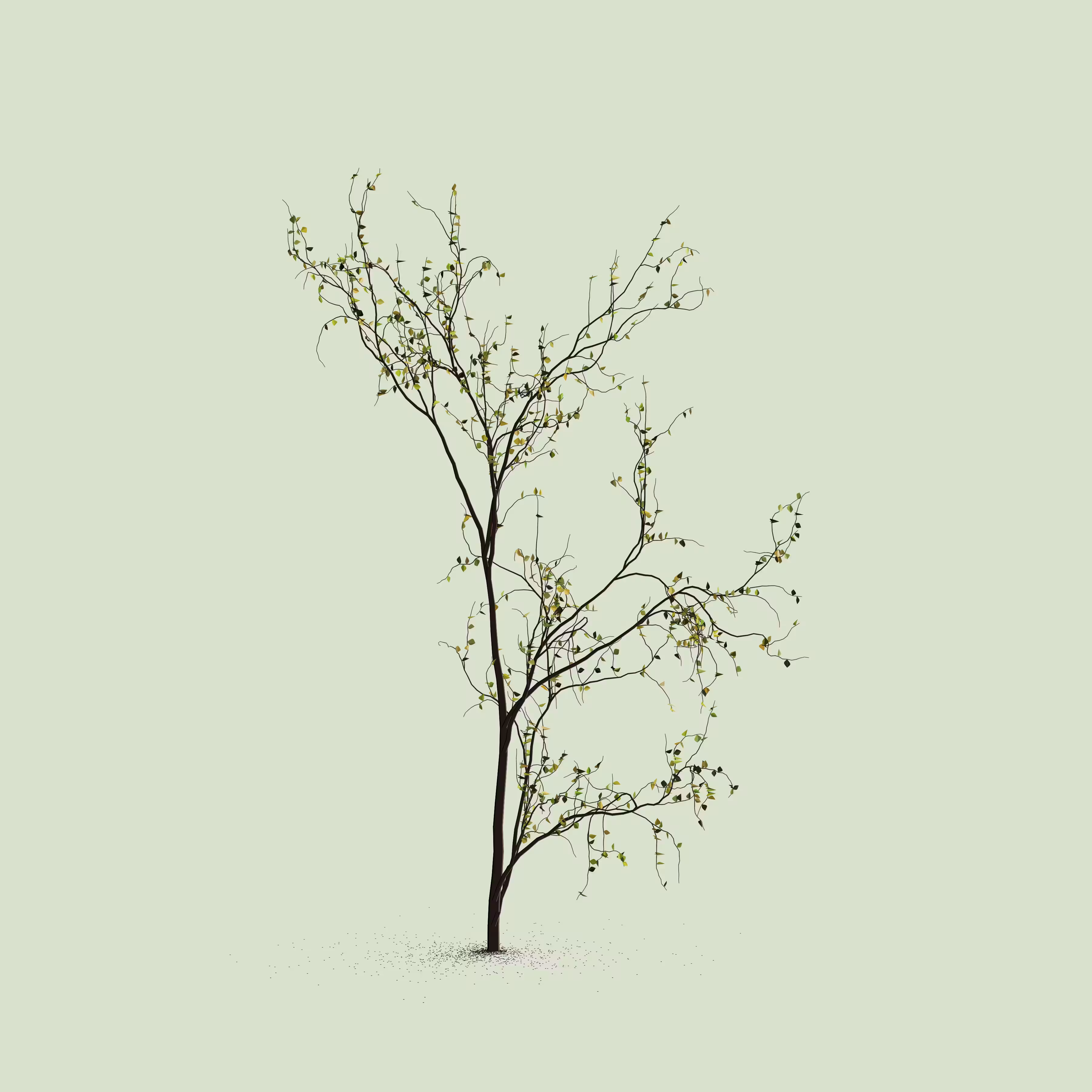 Little Trees #47