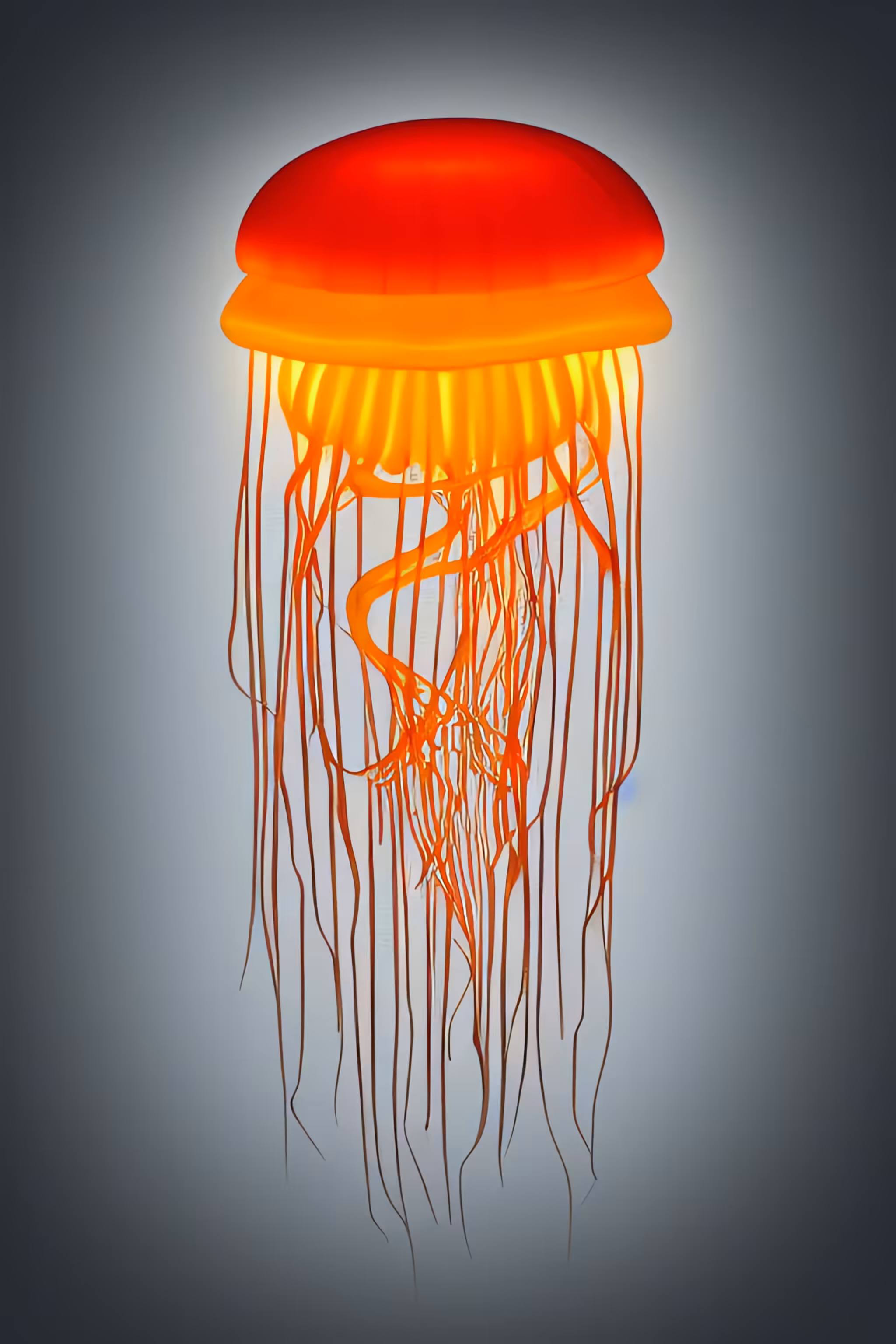 Meta-Nautilus || #15 jellyfish happiness
