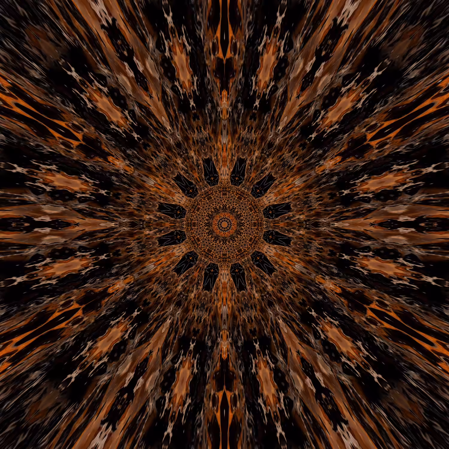 Kaleido 1