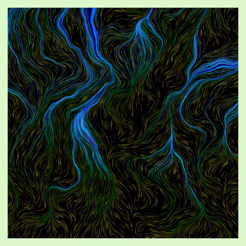 Roots #27