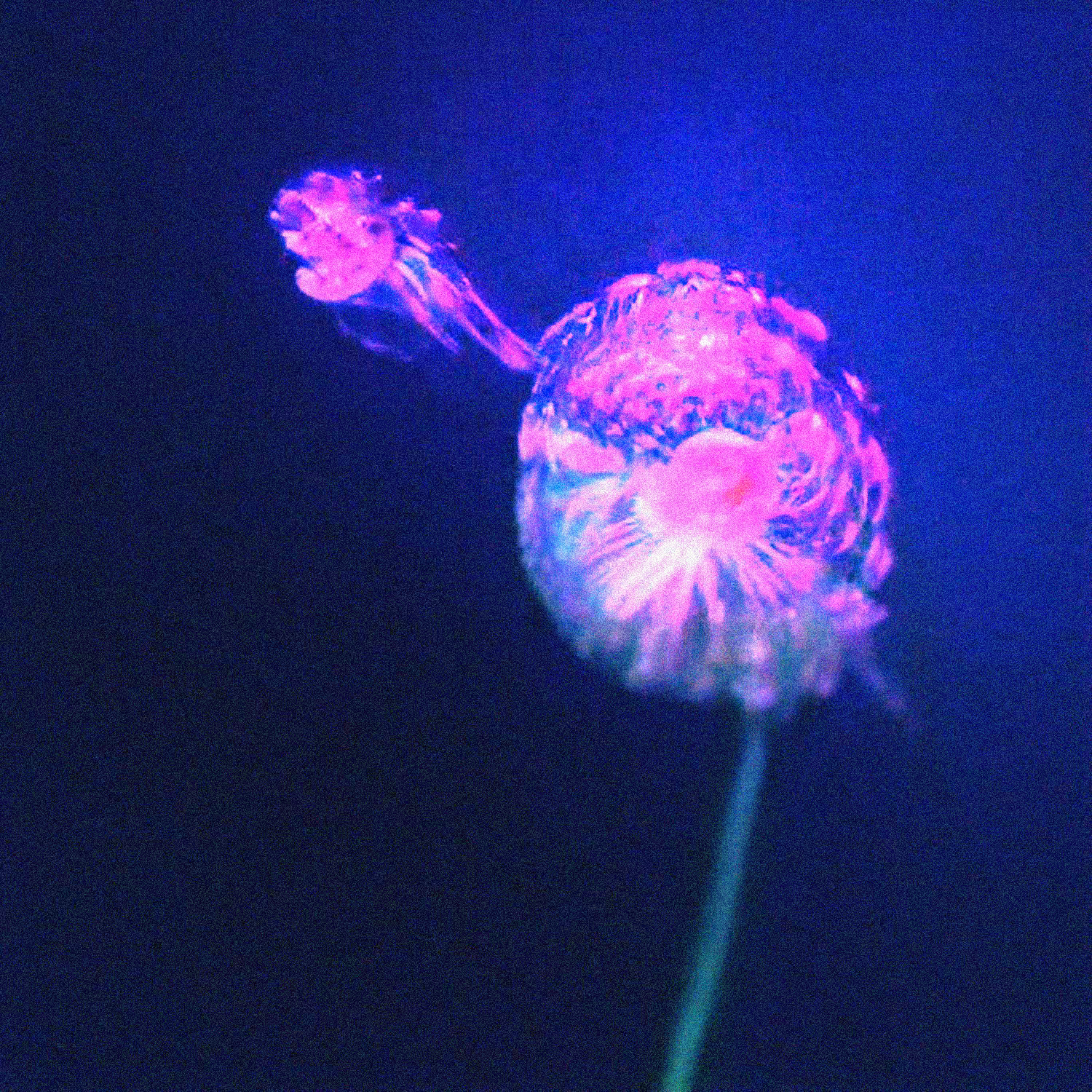 In Deep Water #3