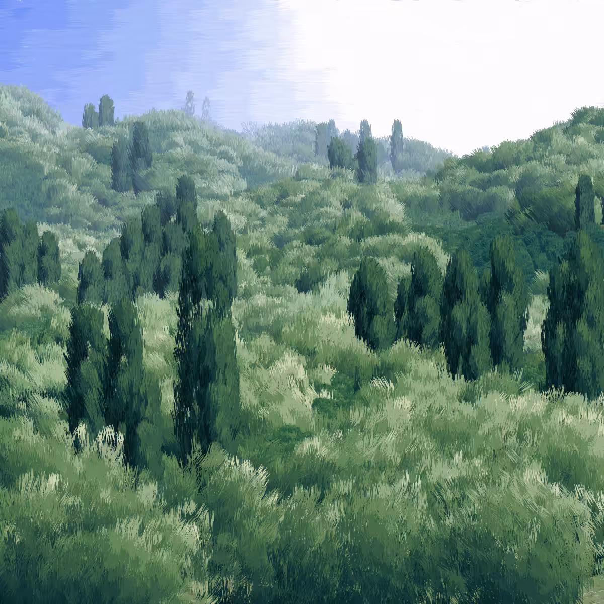 Provence #237