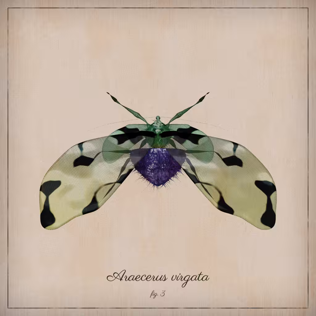 ProcGen Entomology #410