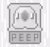 PEEP 'GHOST'