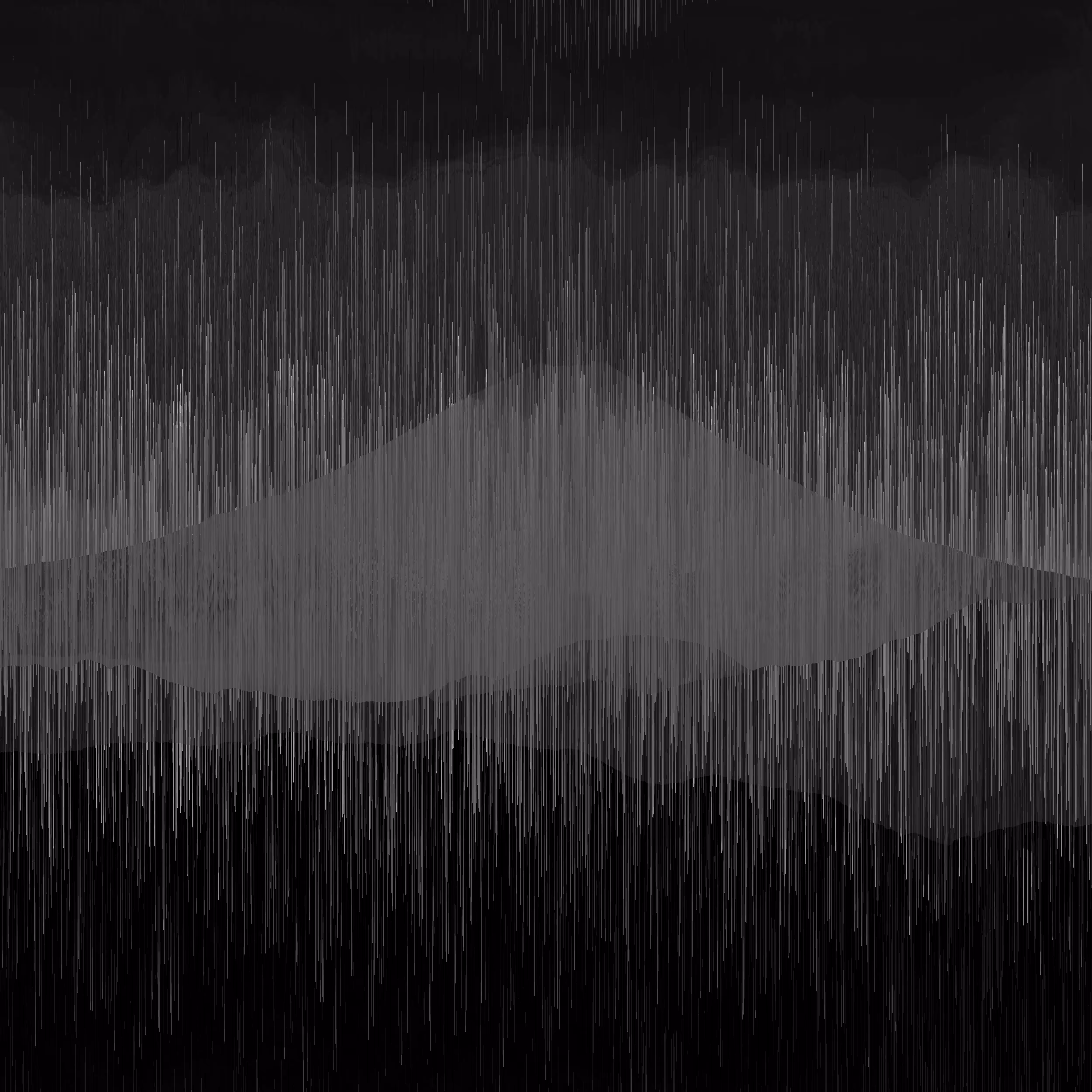 fuji noir