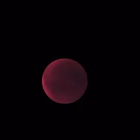 demon of the night 2019