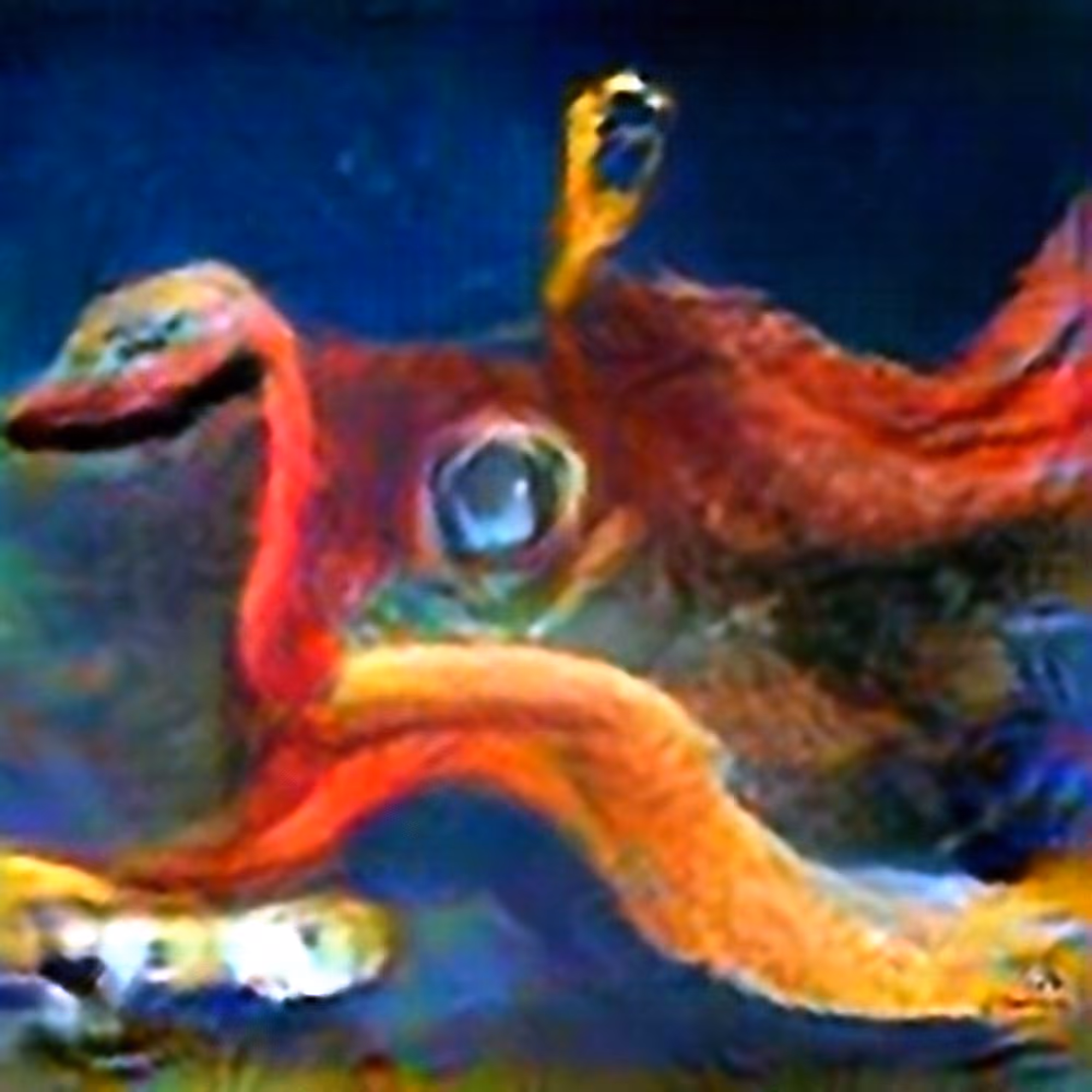 The Octopus #8 (Corpus: Monsters of Capitalism)