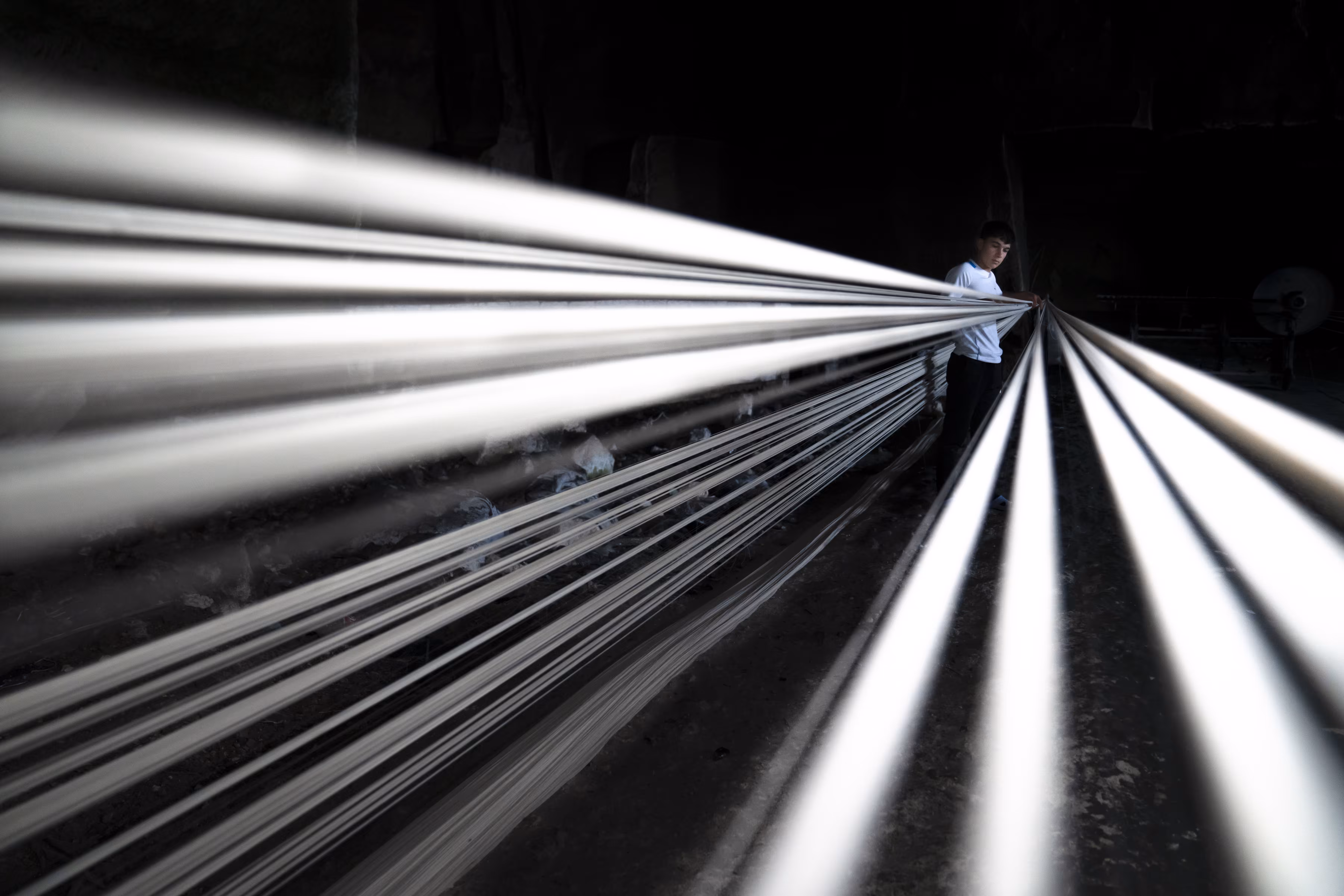 LINES OF LIFE