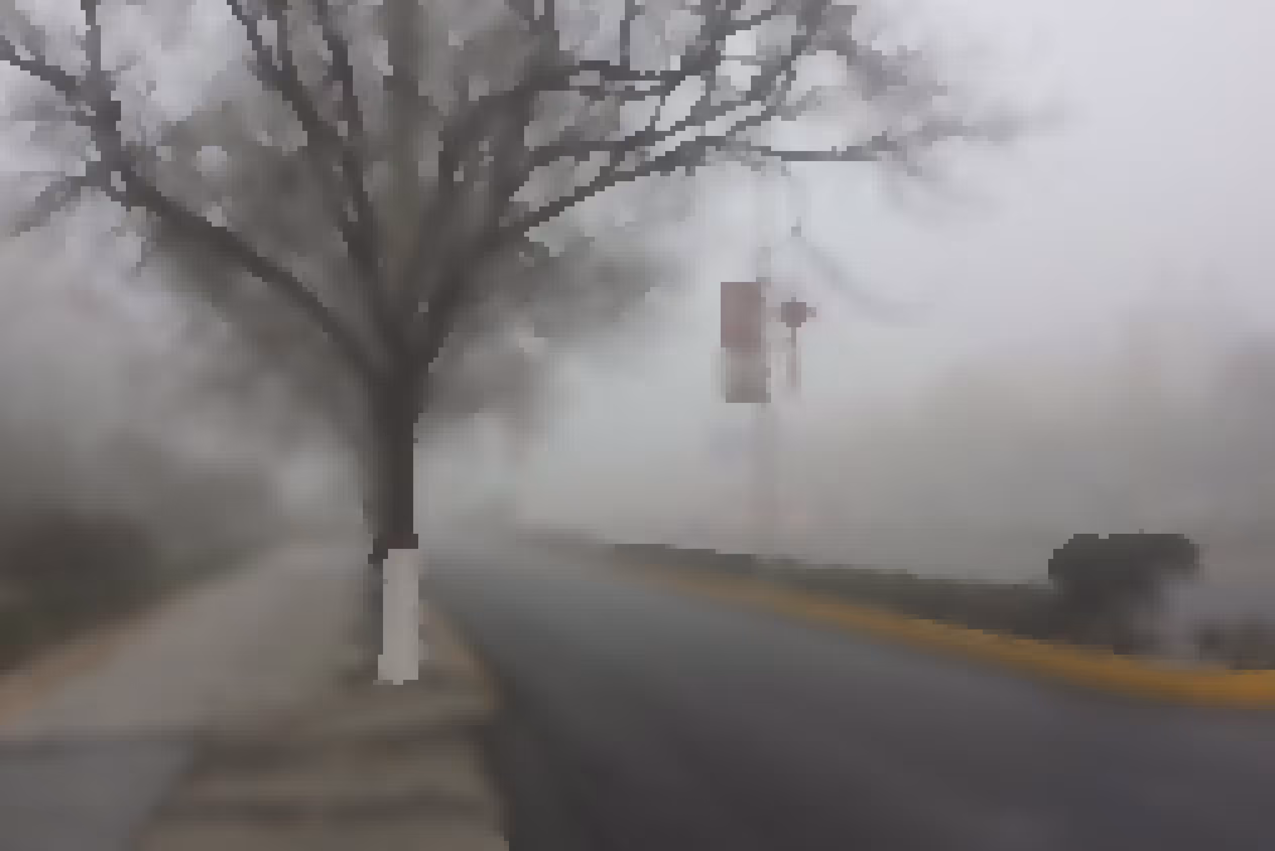 Silent Road