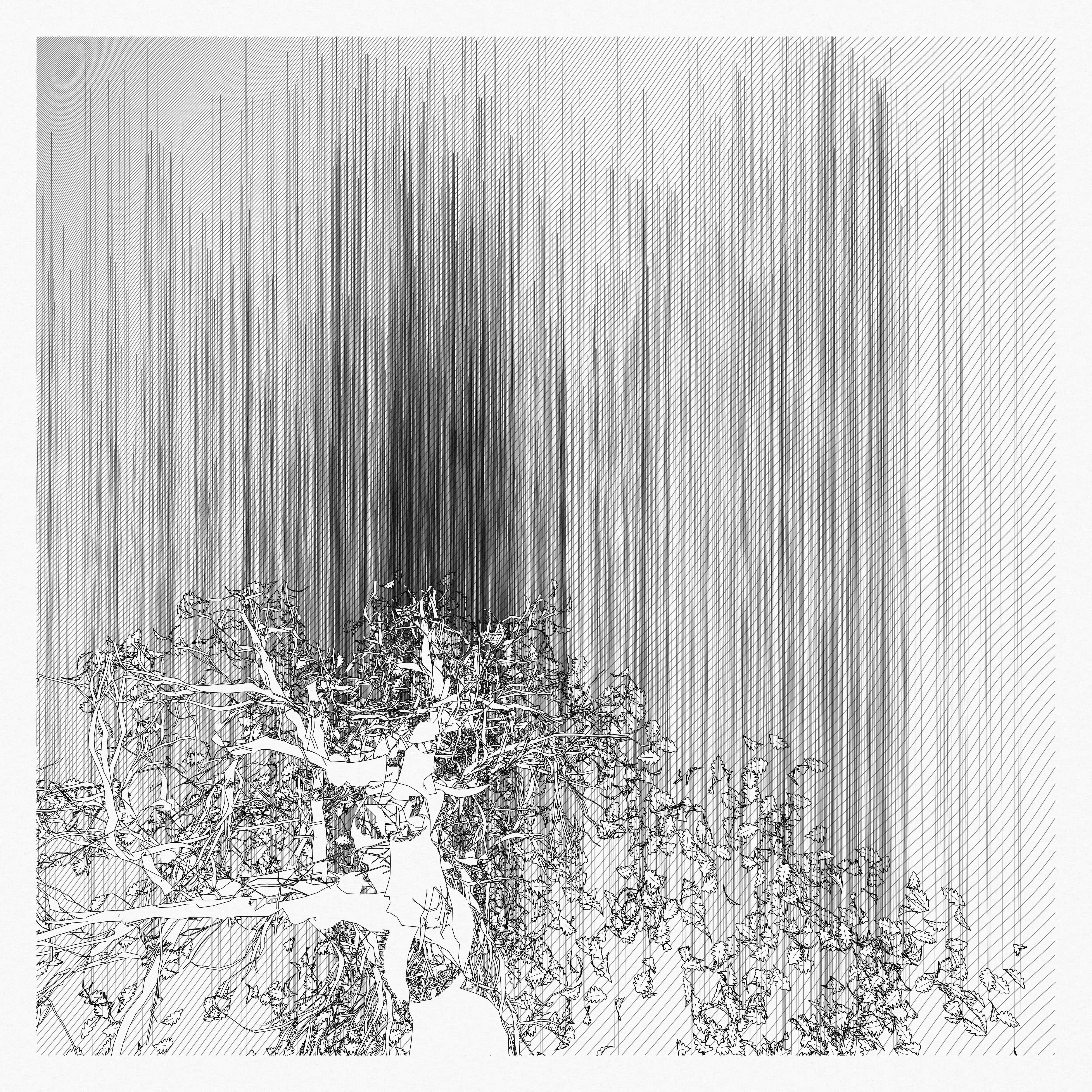 A Bugged Forest #203