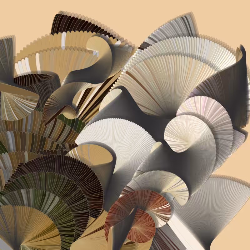 Seashells #49