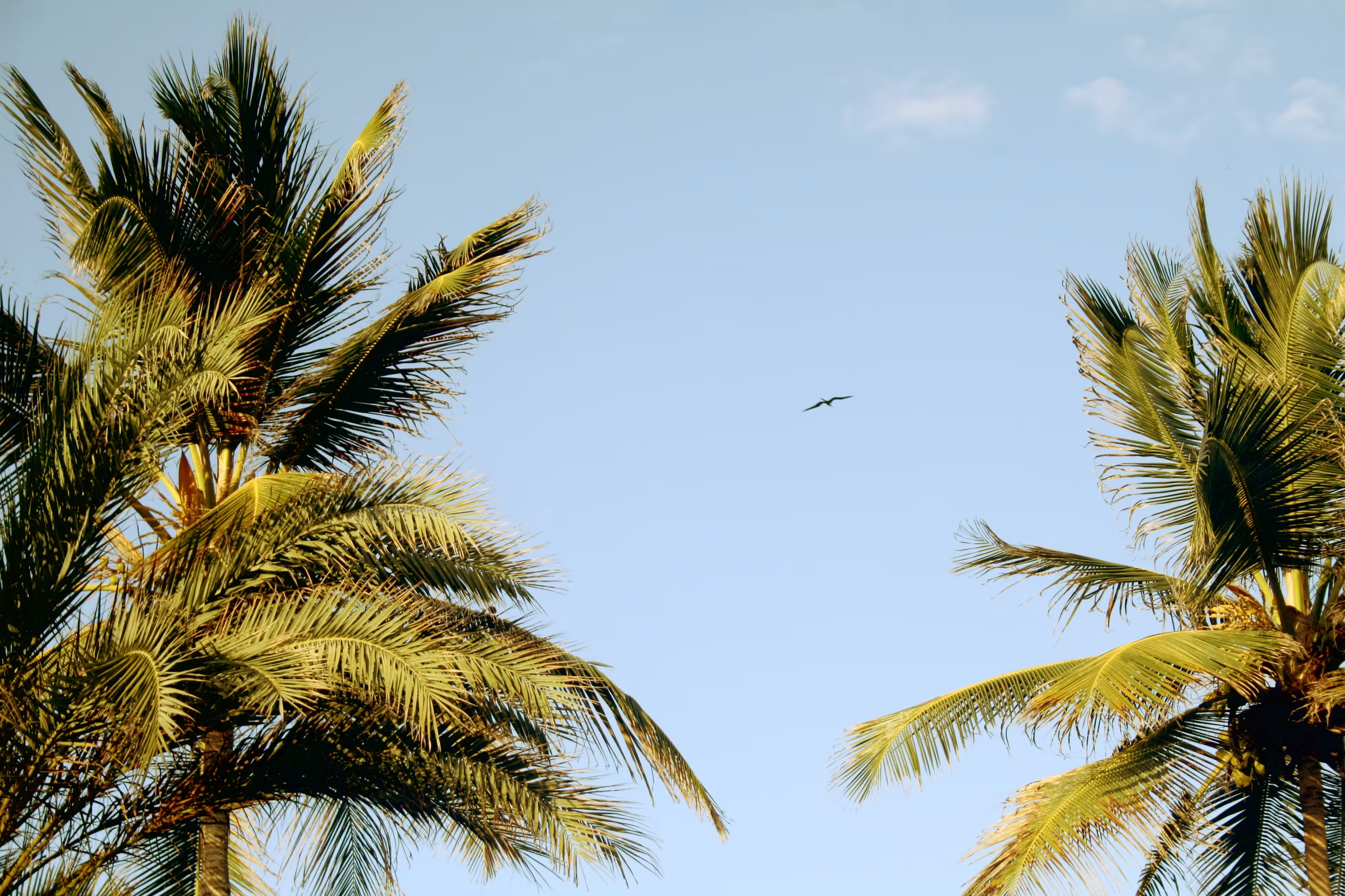 The air is salty and it's wonderful