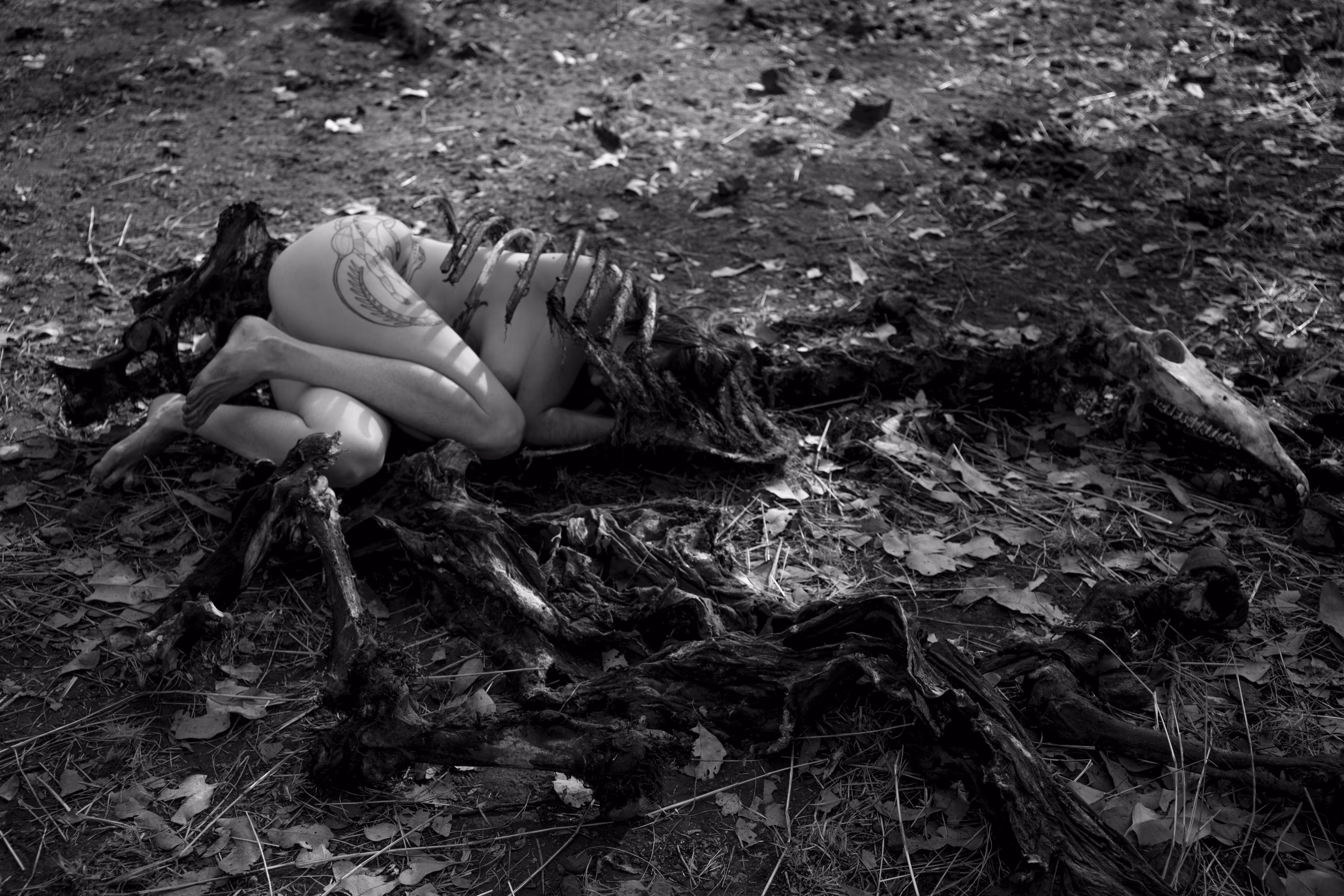 She was of the Bones No.2