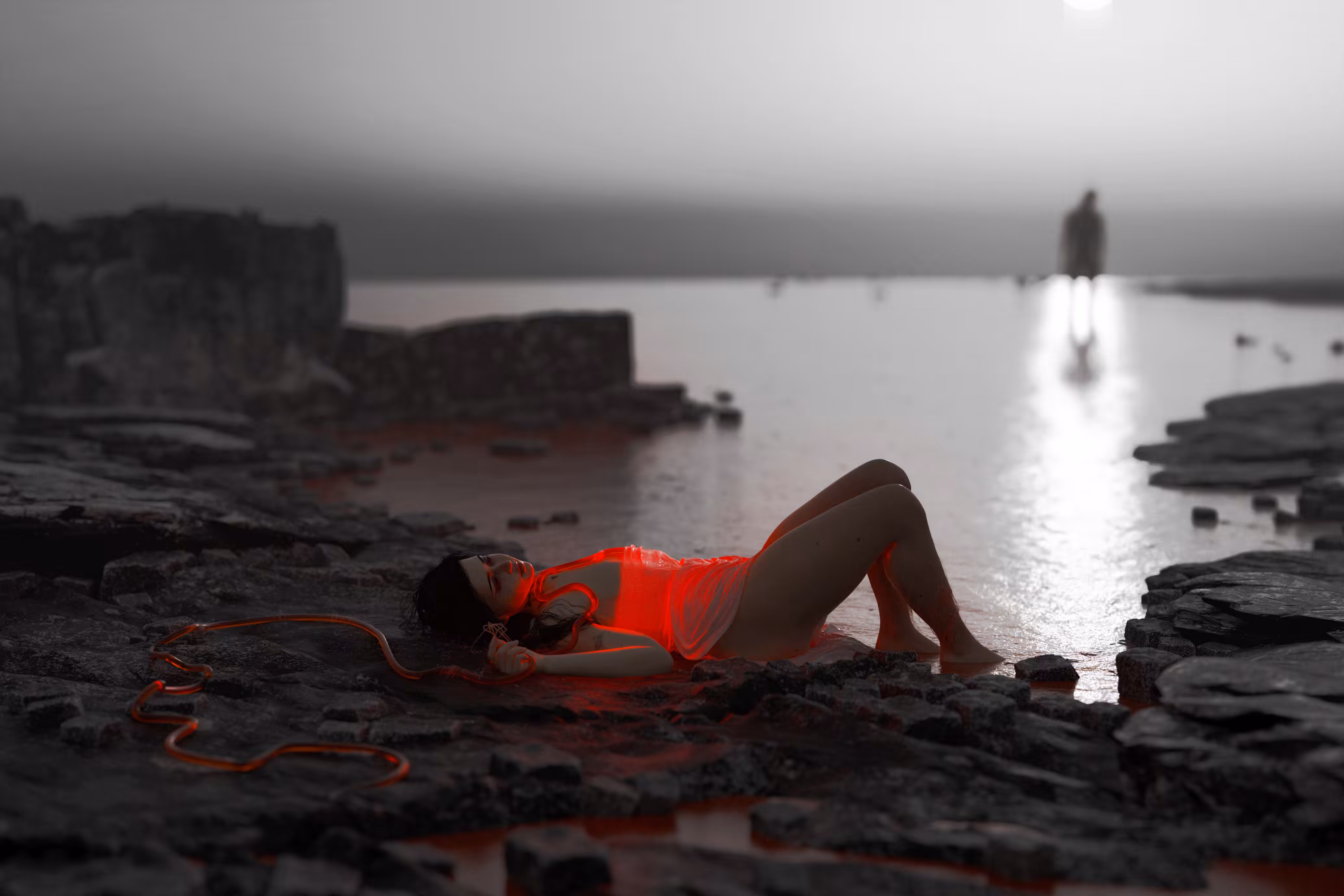 washed ashore