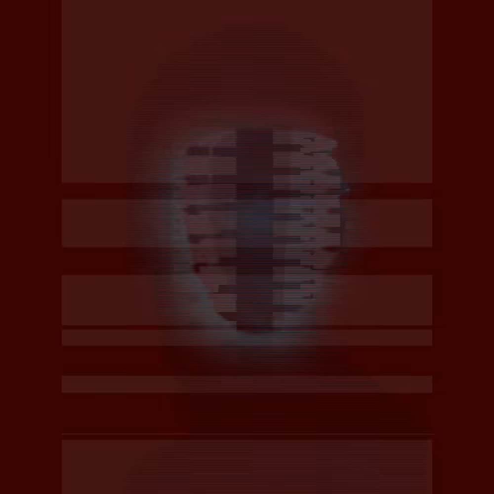 Layers of Noise #251