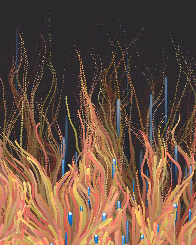Waterweed #24