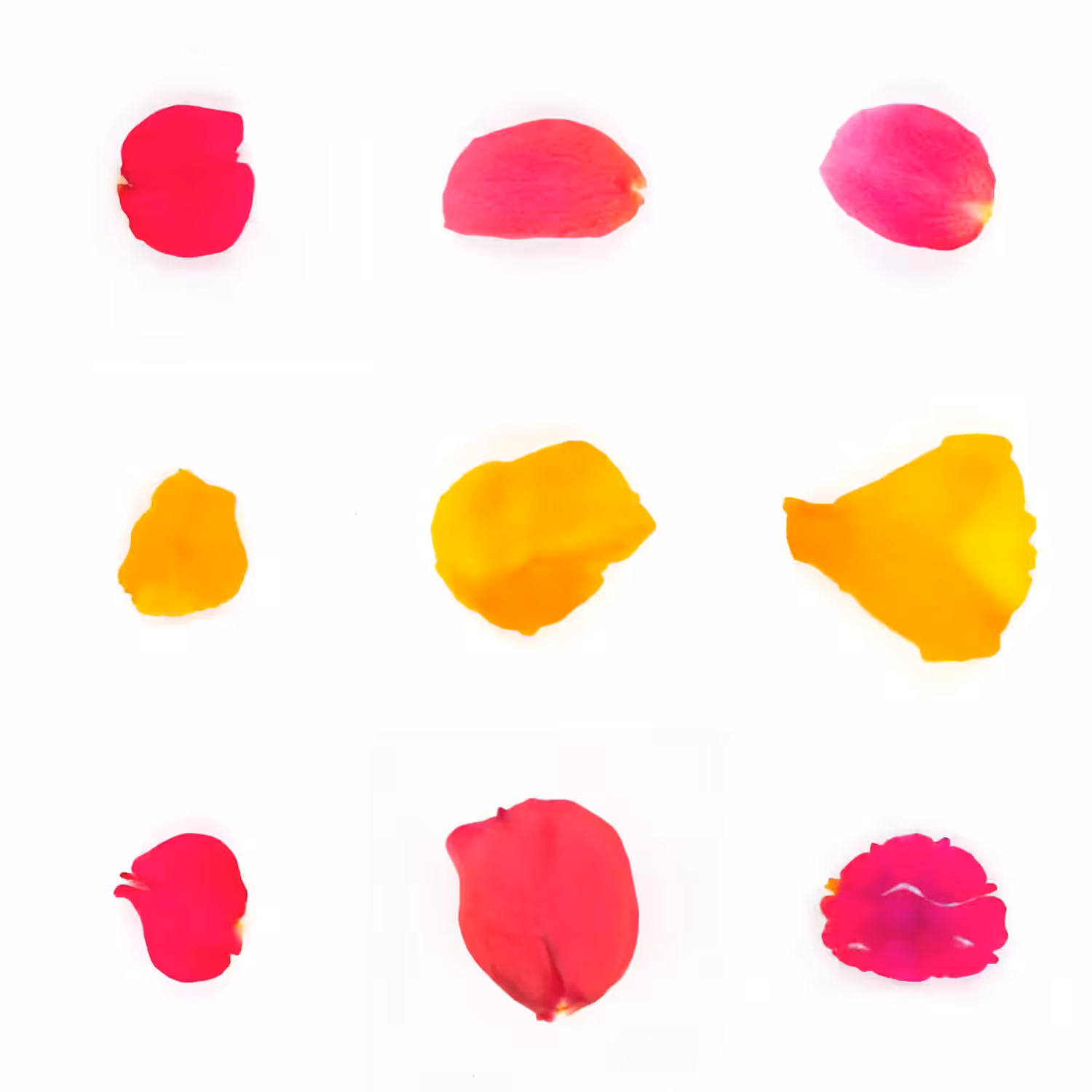 Infinite Petals 3x3#3285