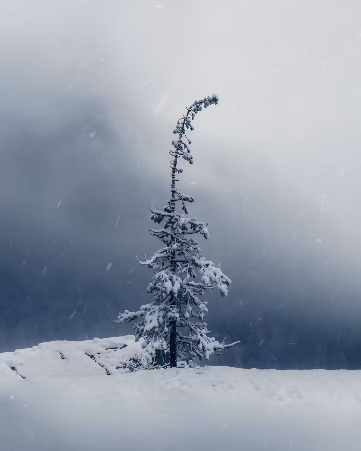 Frozen Yosemite 003: Serenity