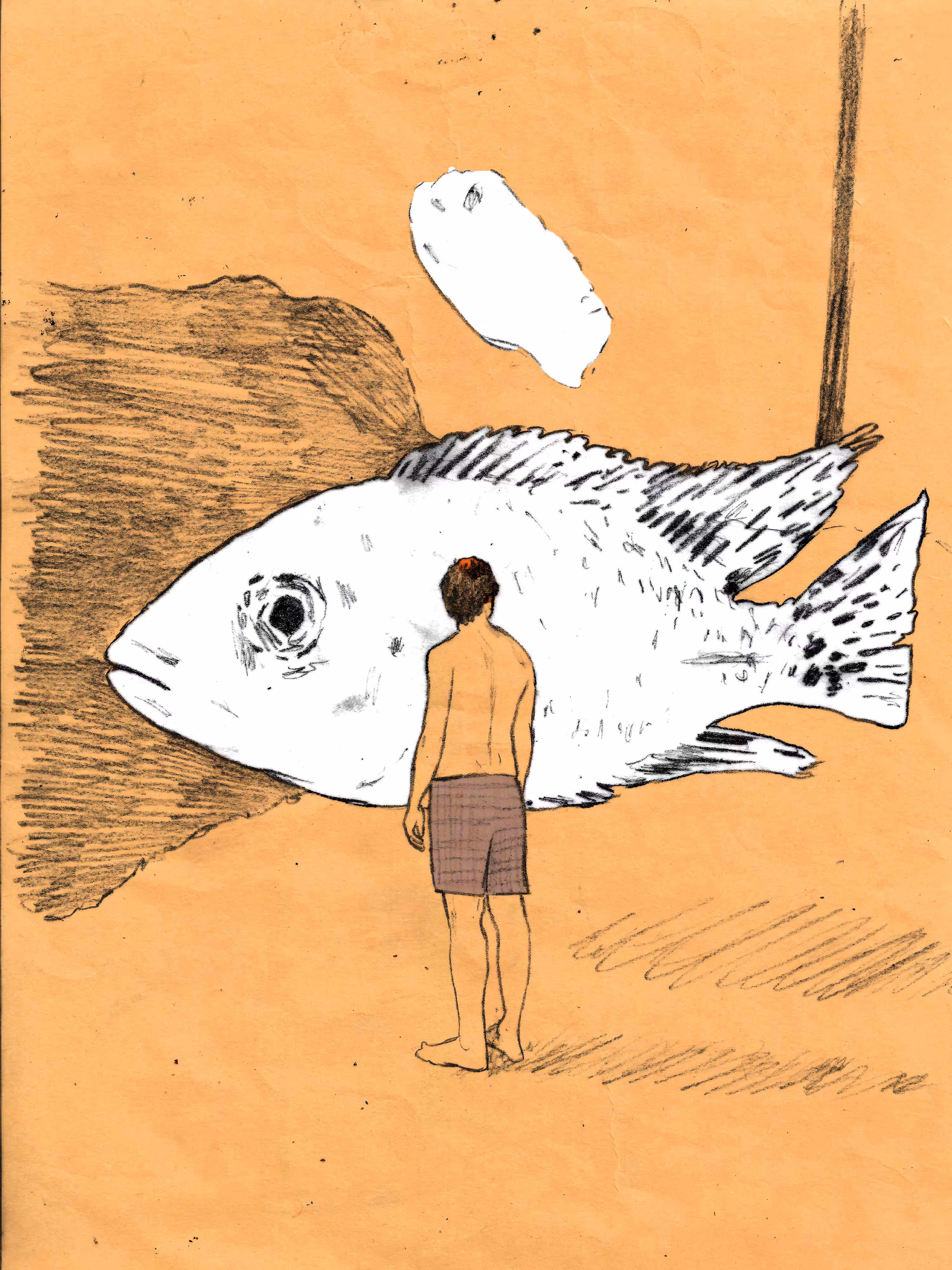 white fish