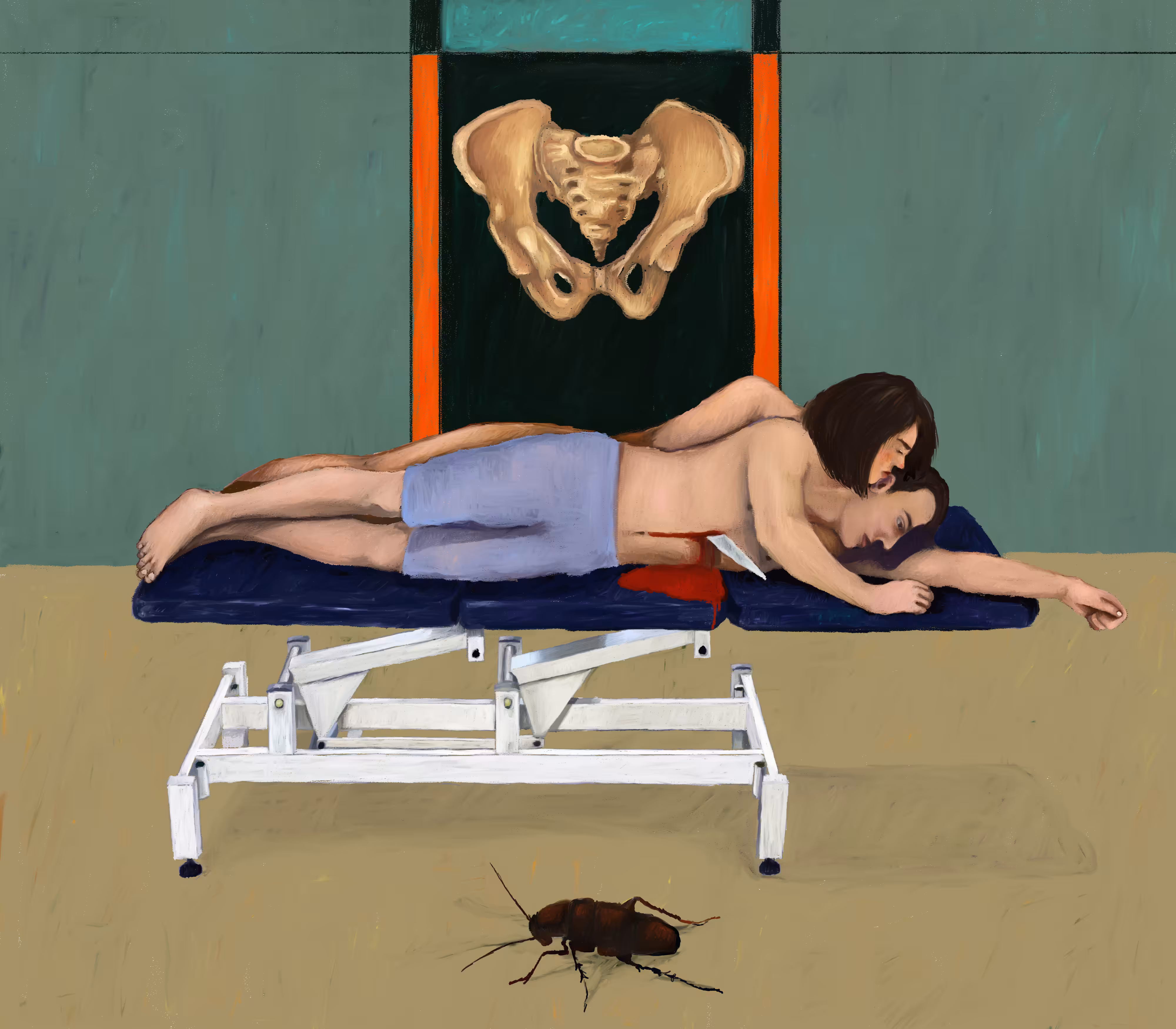 Targan (cockroach)