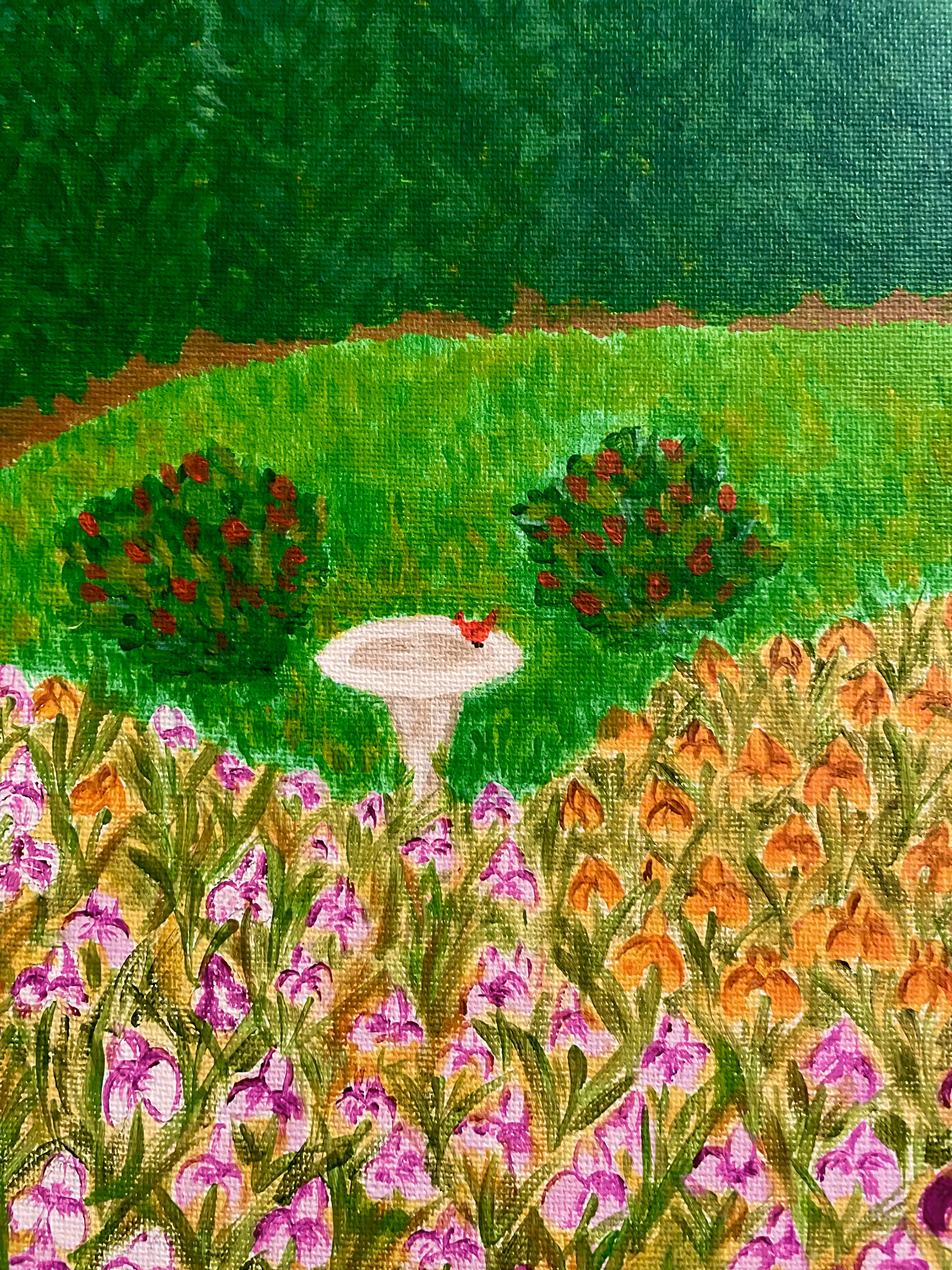 Mable's Irises Series: "The Cardinal's Sanctuary"