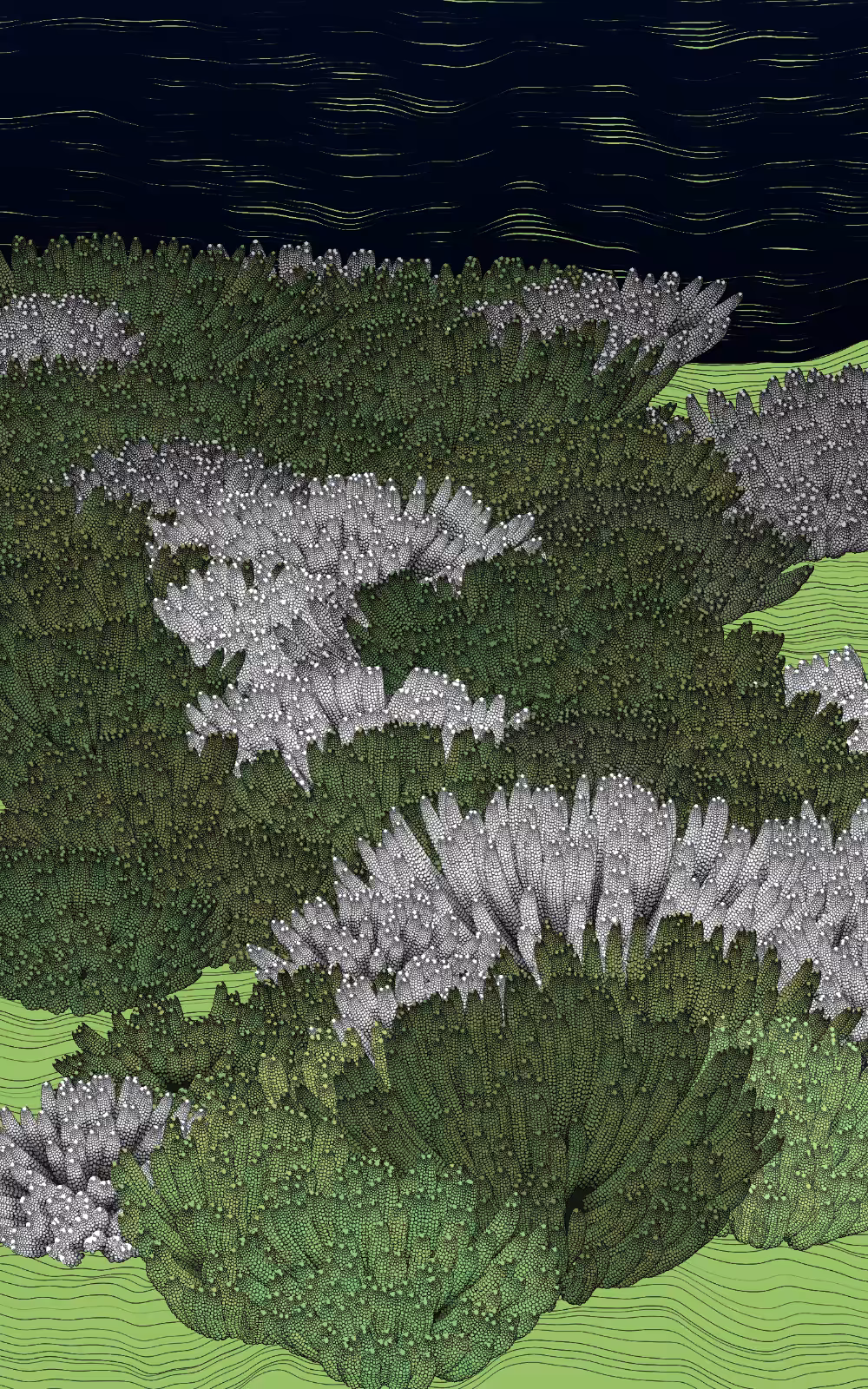 The Restoration Scheme: Bleaching #62