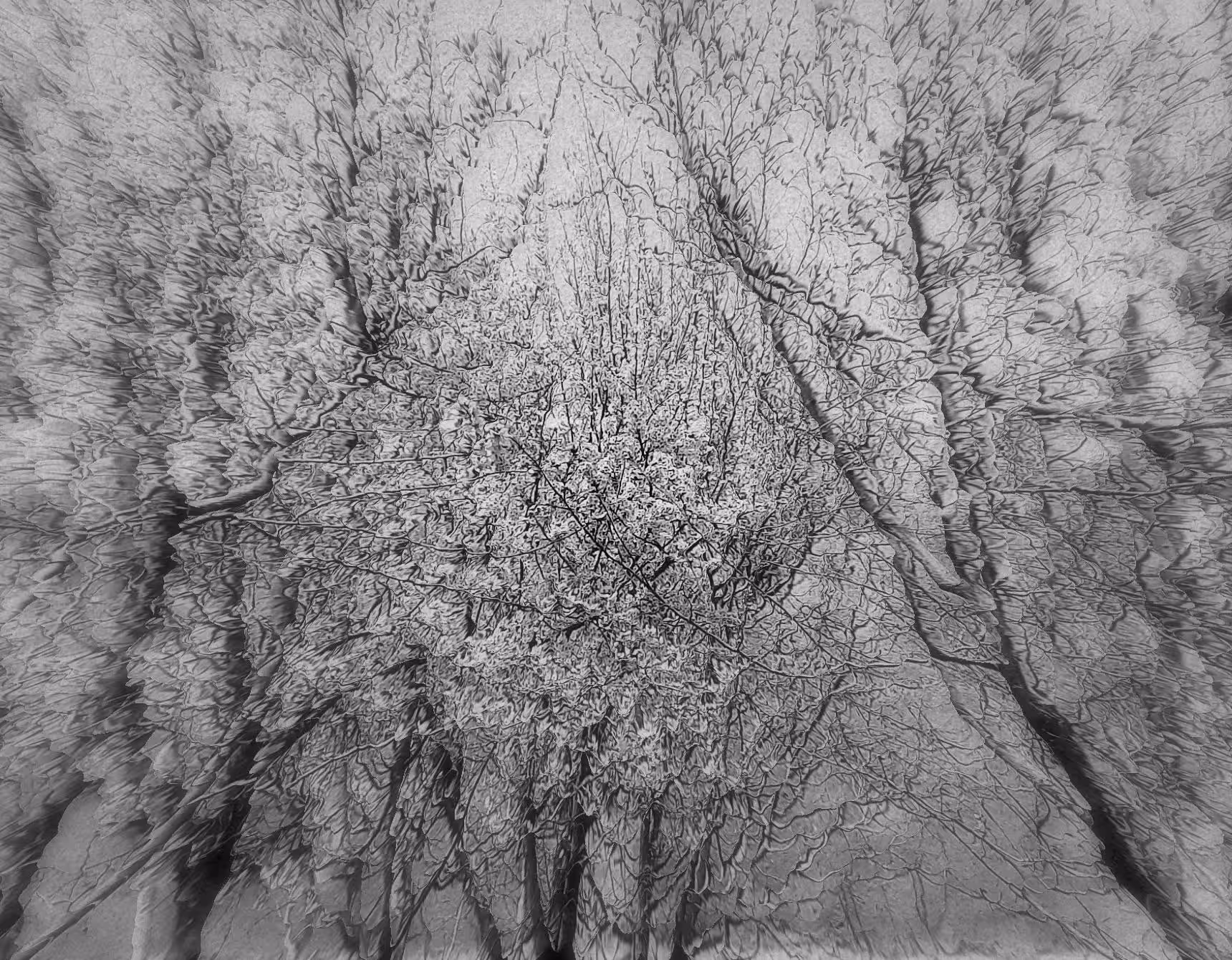 Trees & Leaves (V)