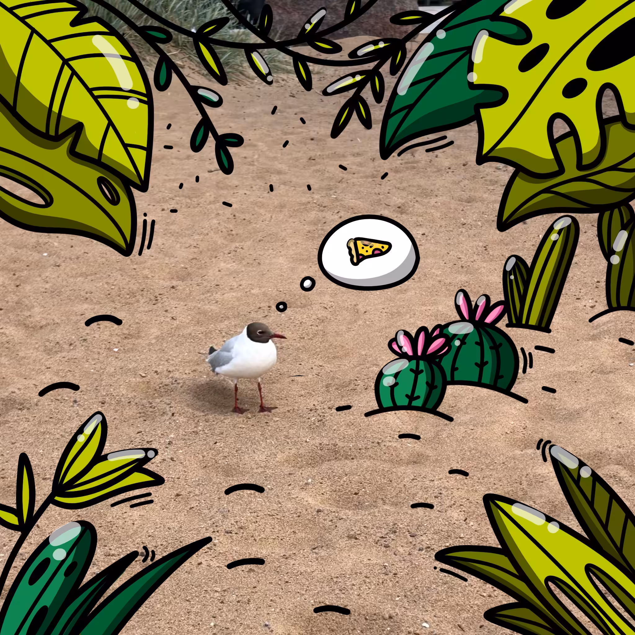 Hungry seagull
