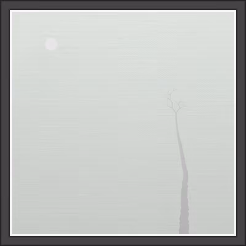 The Foggy Trees #10