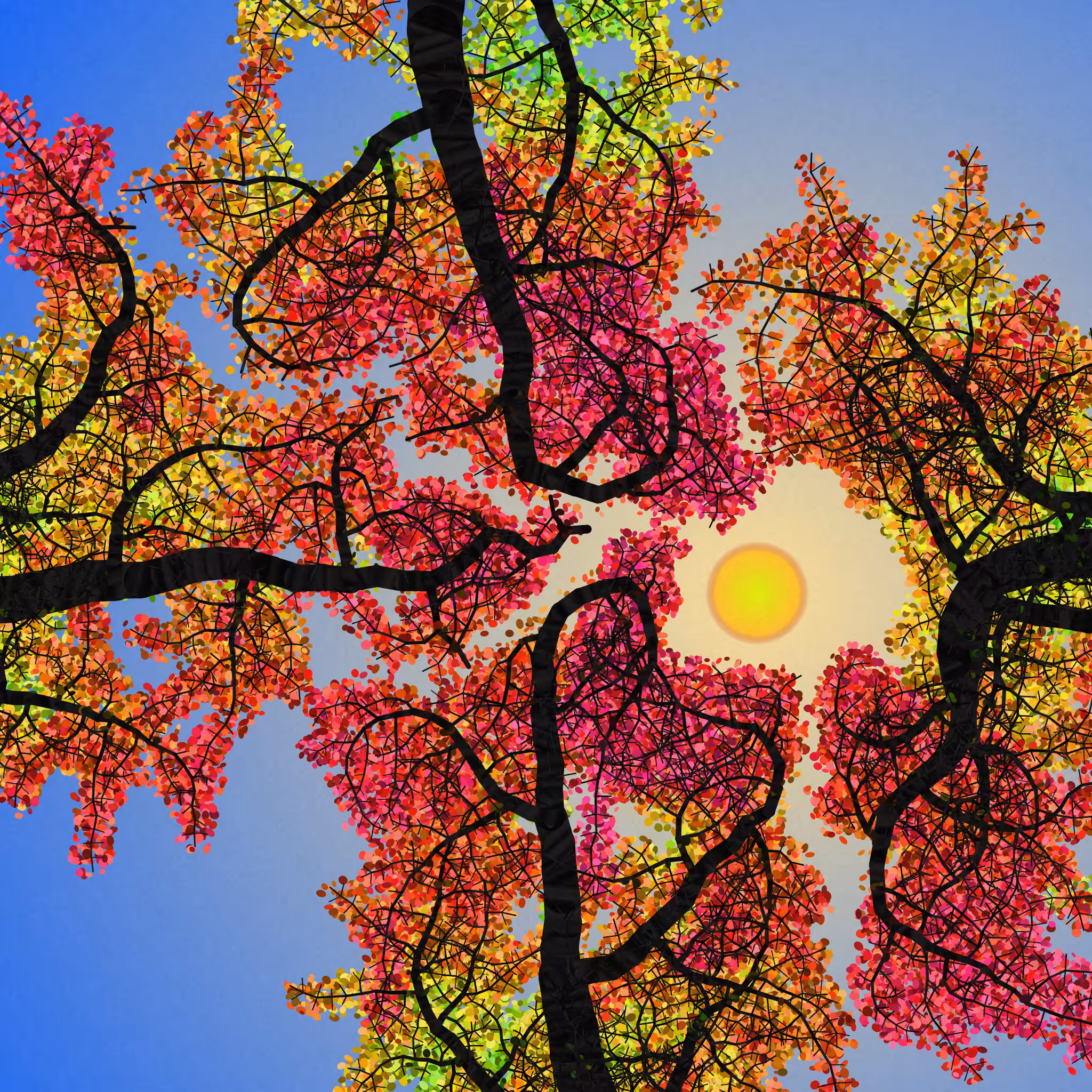 Tree Skyness #145