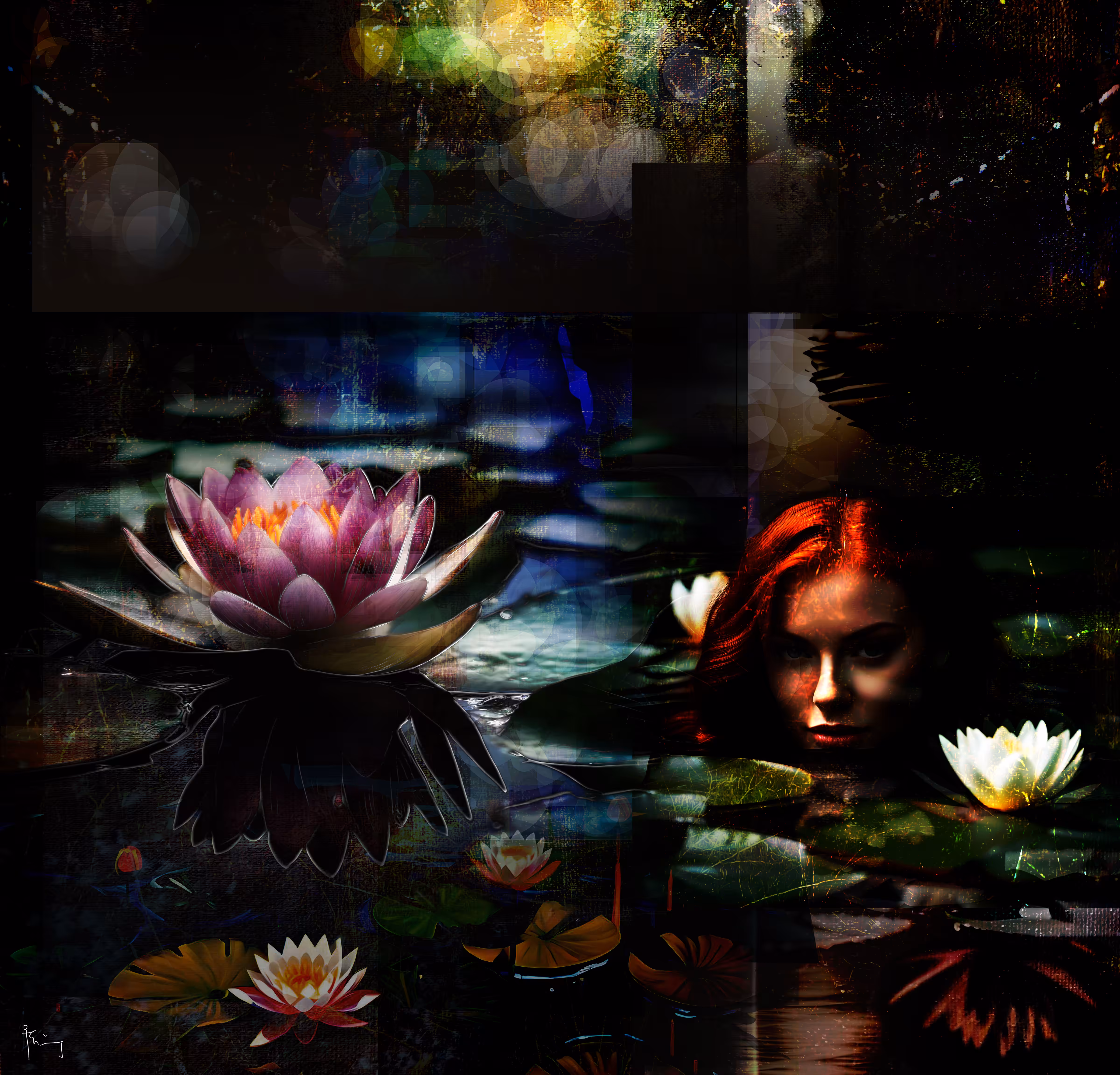 Water Lily Nymph, Splendor. Feeling Flowers #6 #1