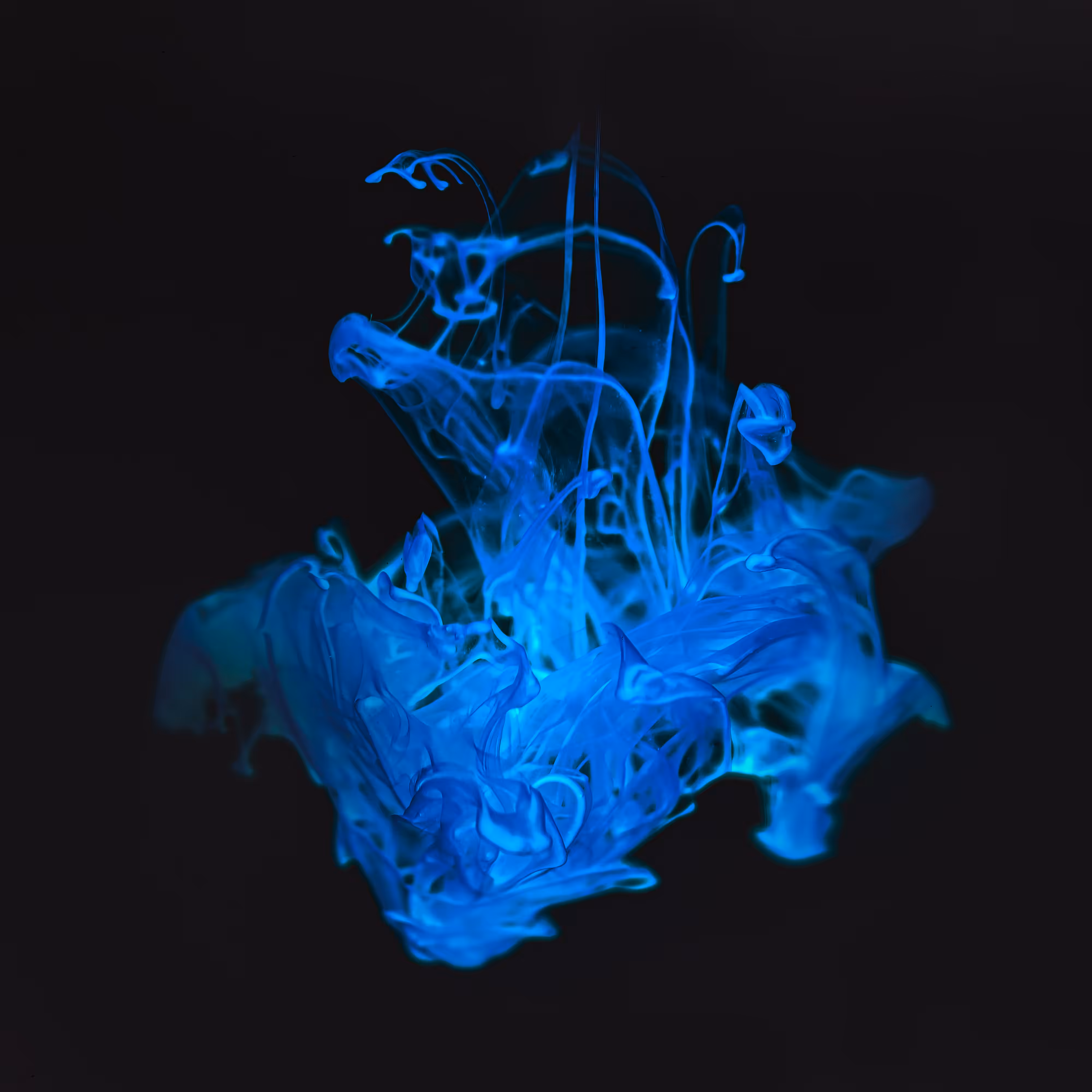 The Flow of Ink