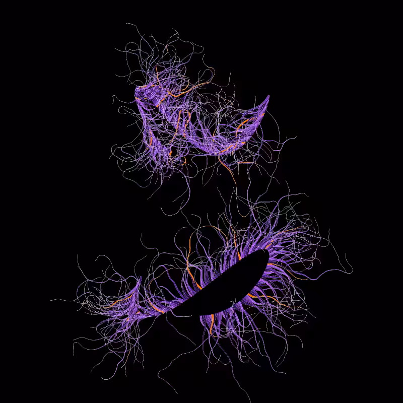 365 Tentacles #49