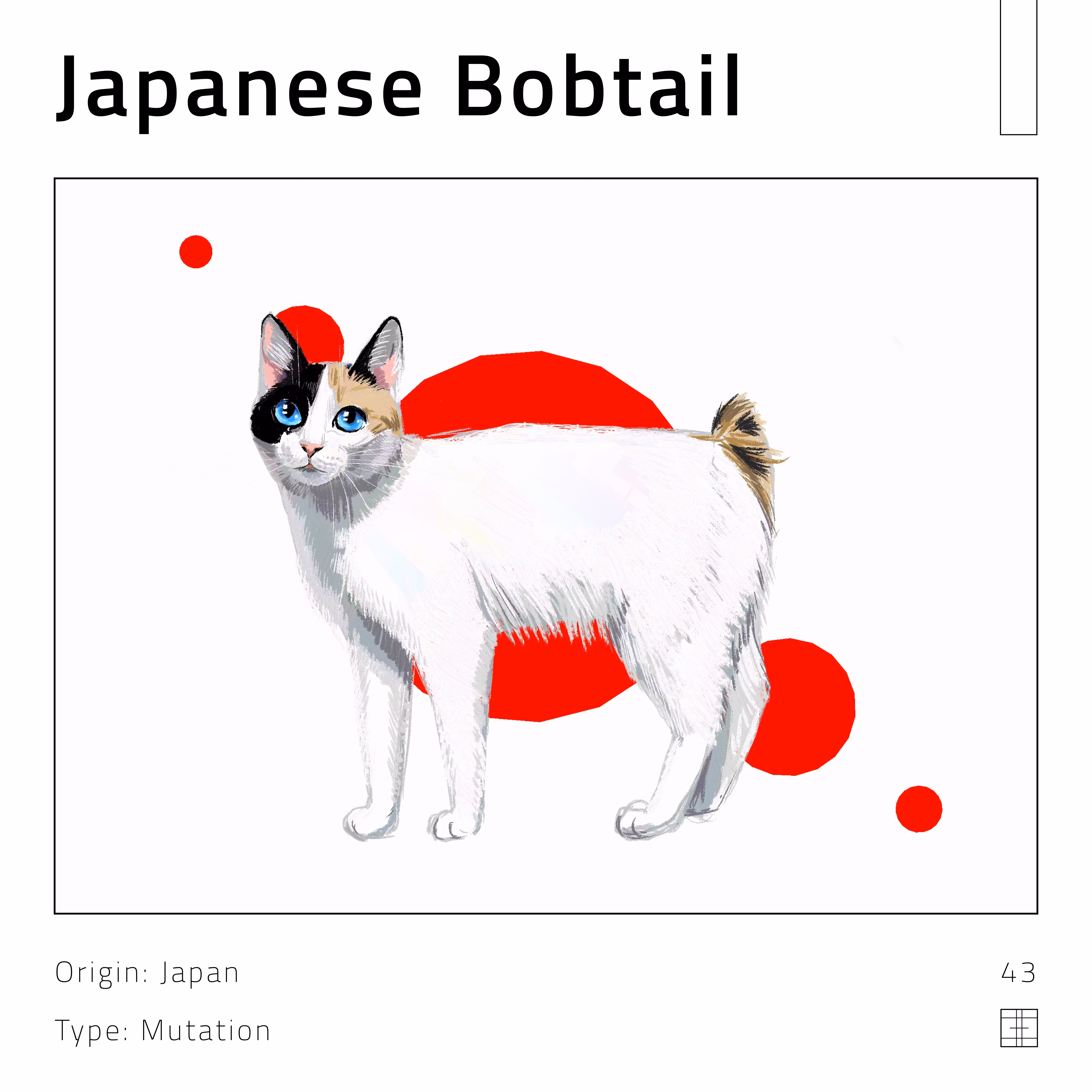 43 – Japanese Bobtail