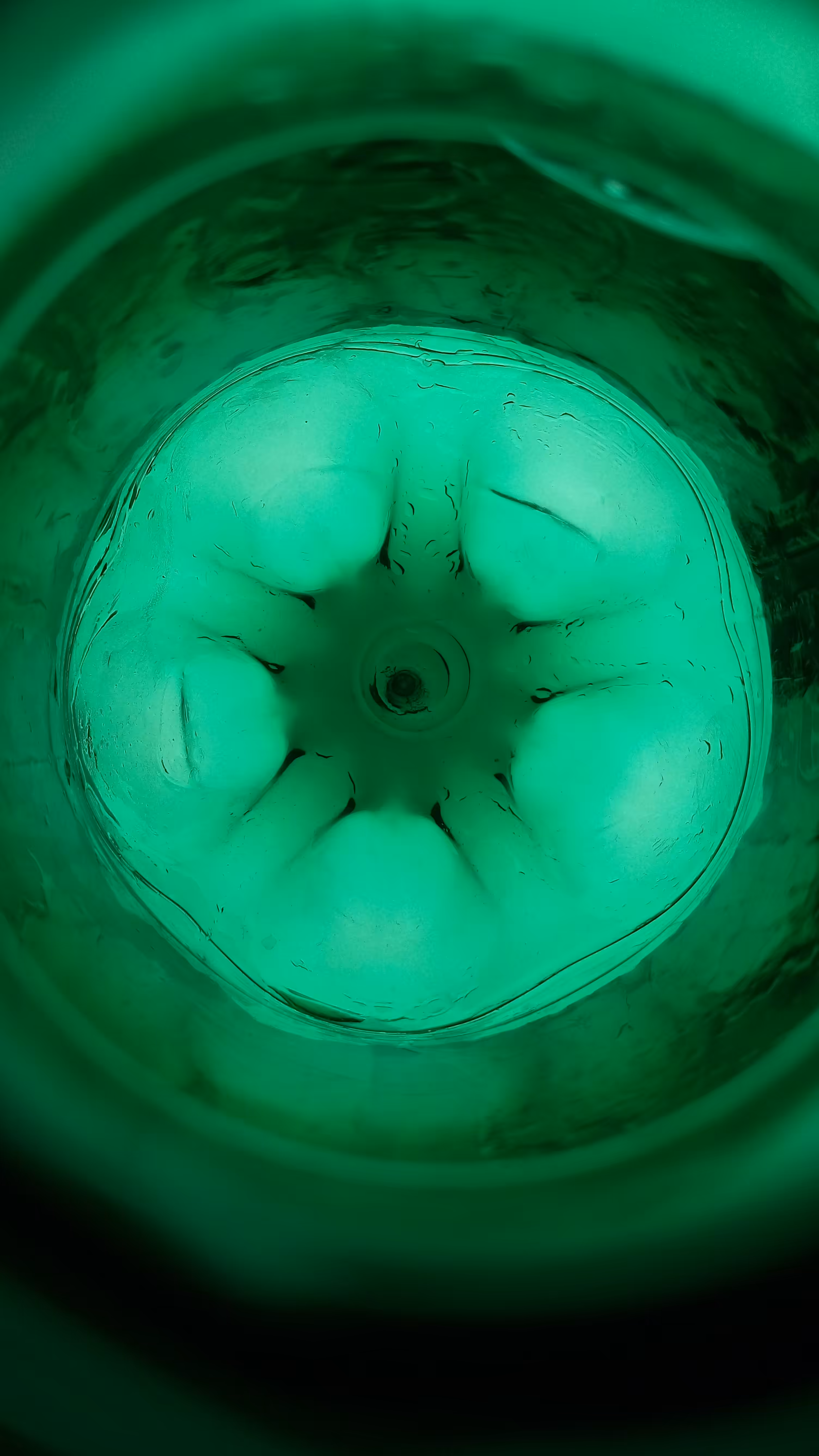 Green Bautemus