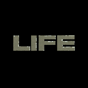 i wanted to destroy something beautiful: < life is  hard  - we live it our way  >